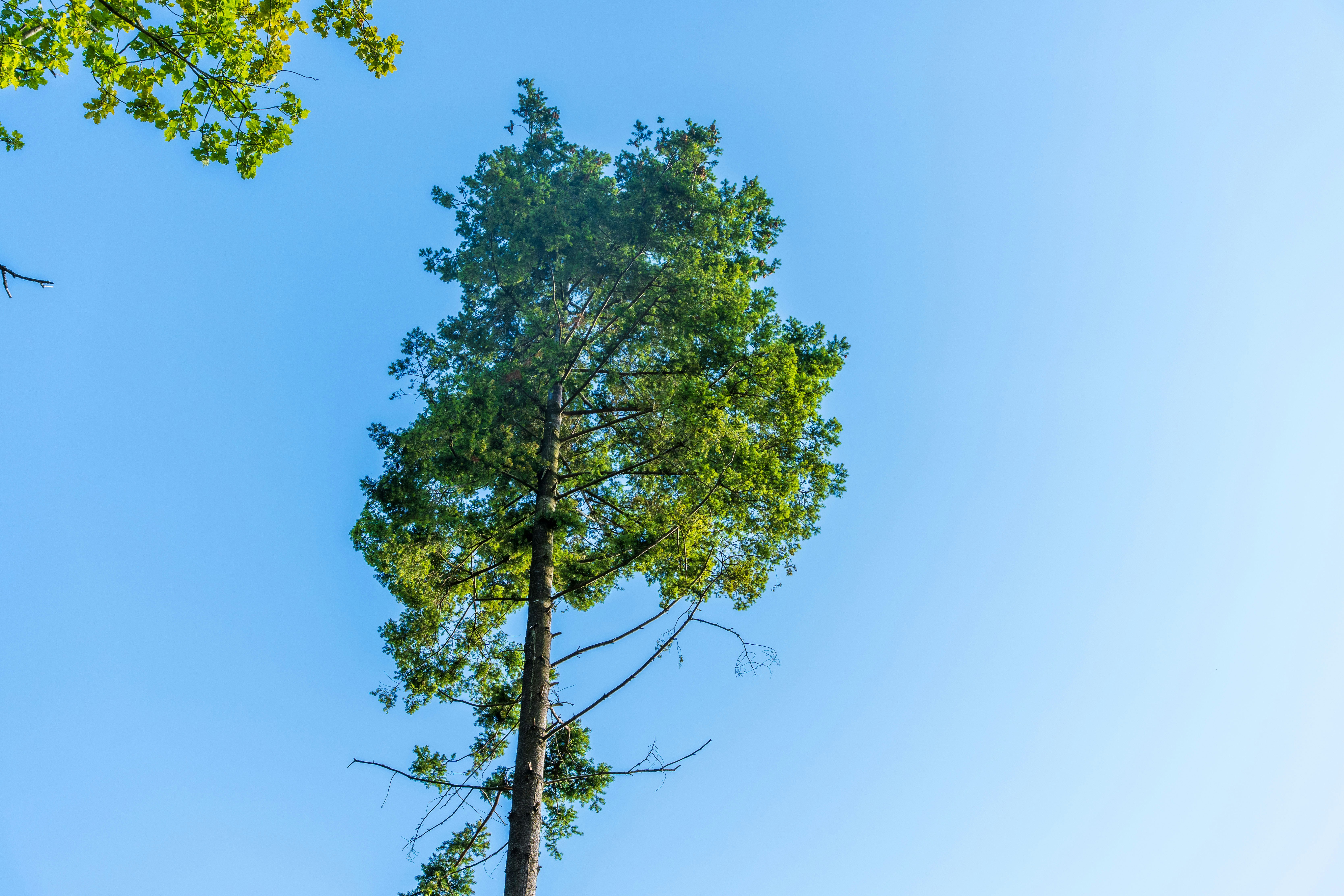 Photo by masoodaslami