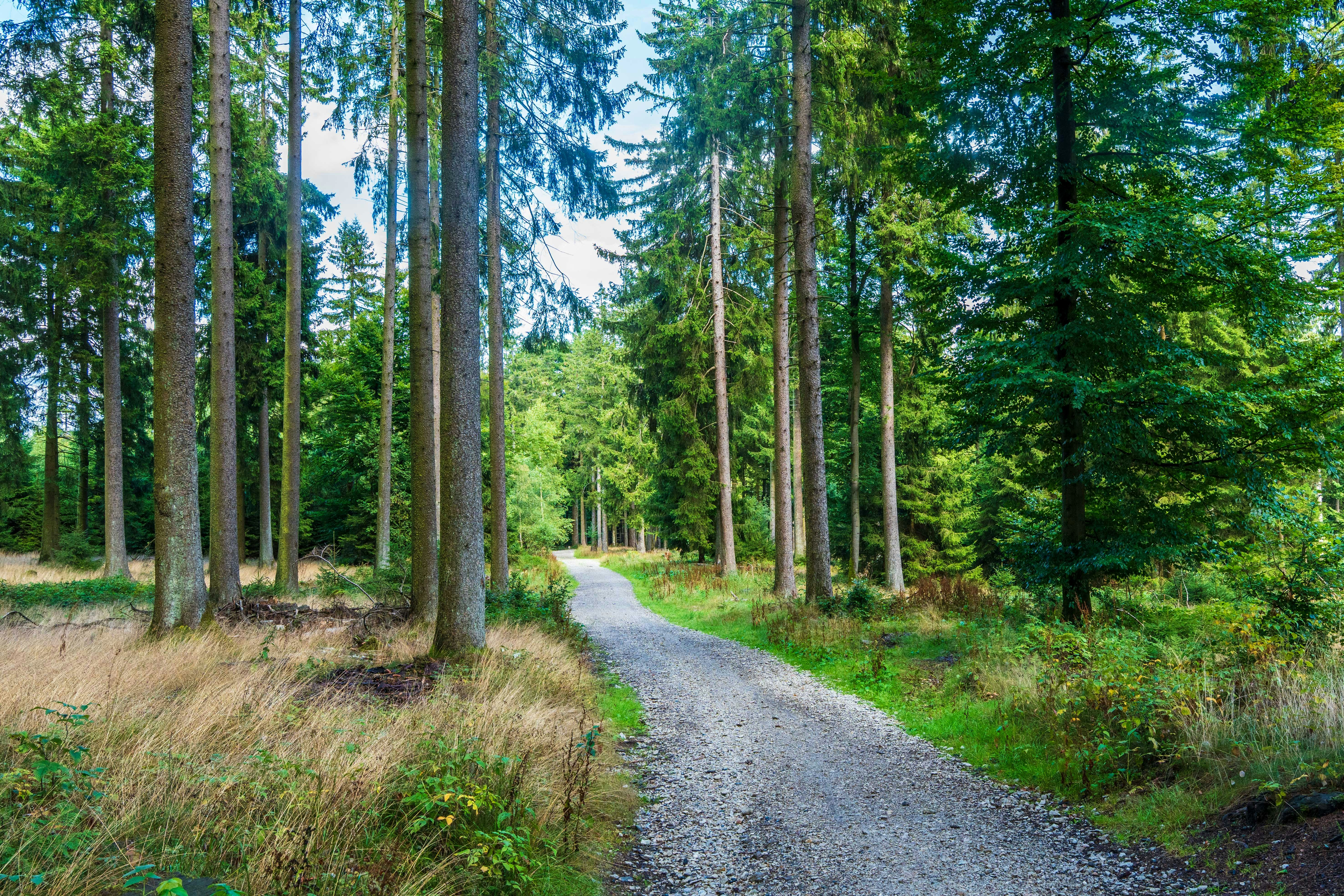 Photo by masoodaslami