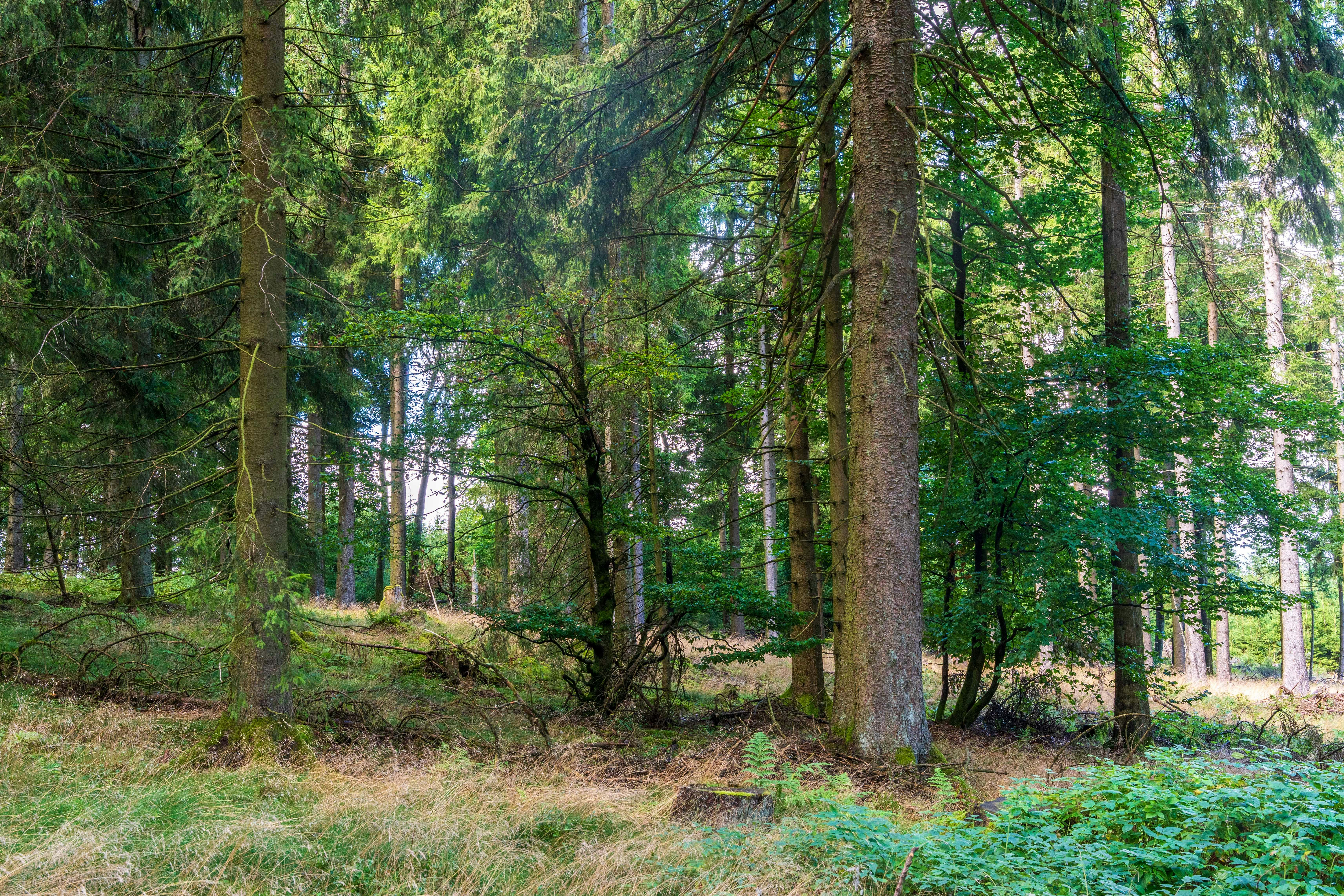 Photo by masoodaslami