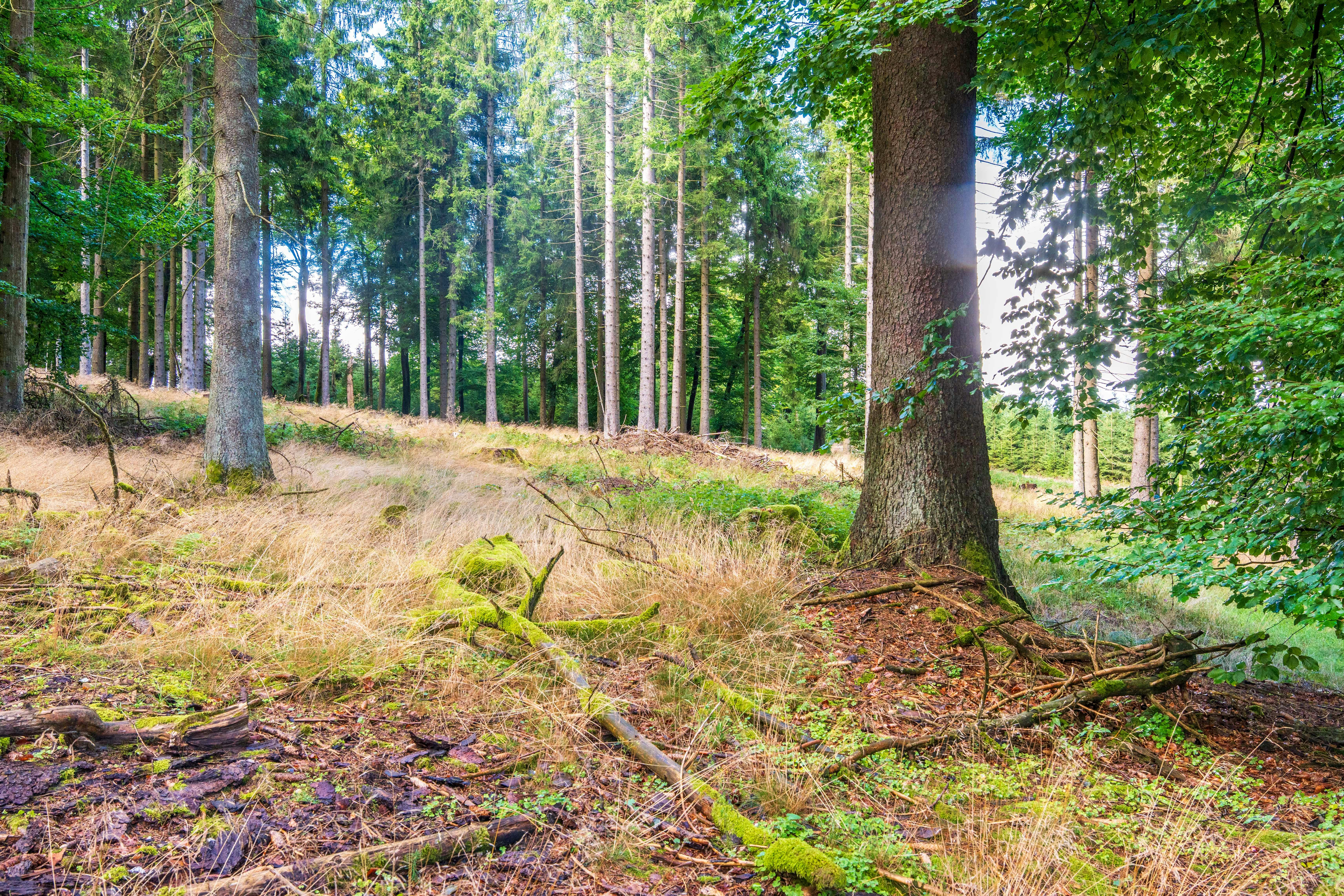 Photo by masoodaslami