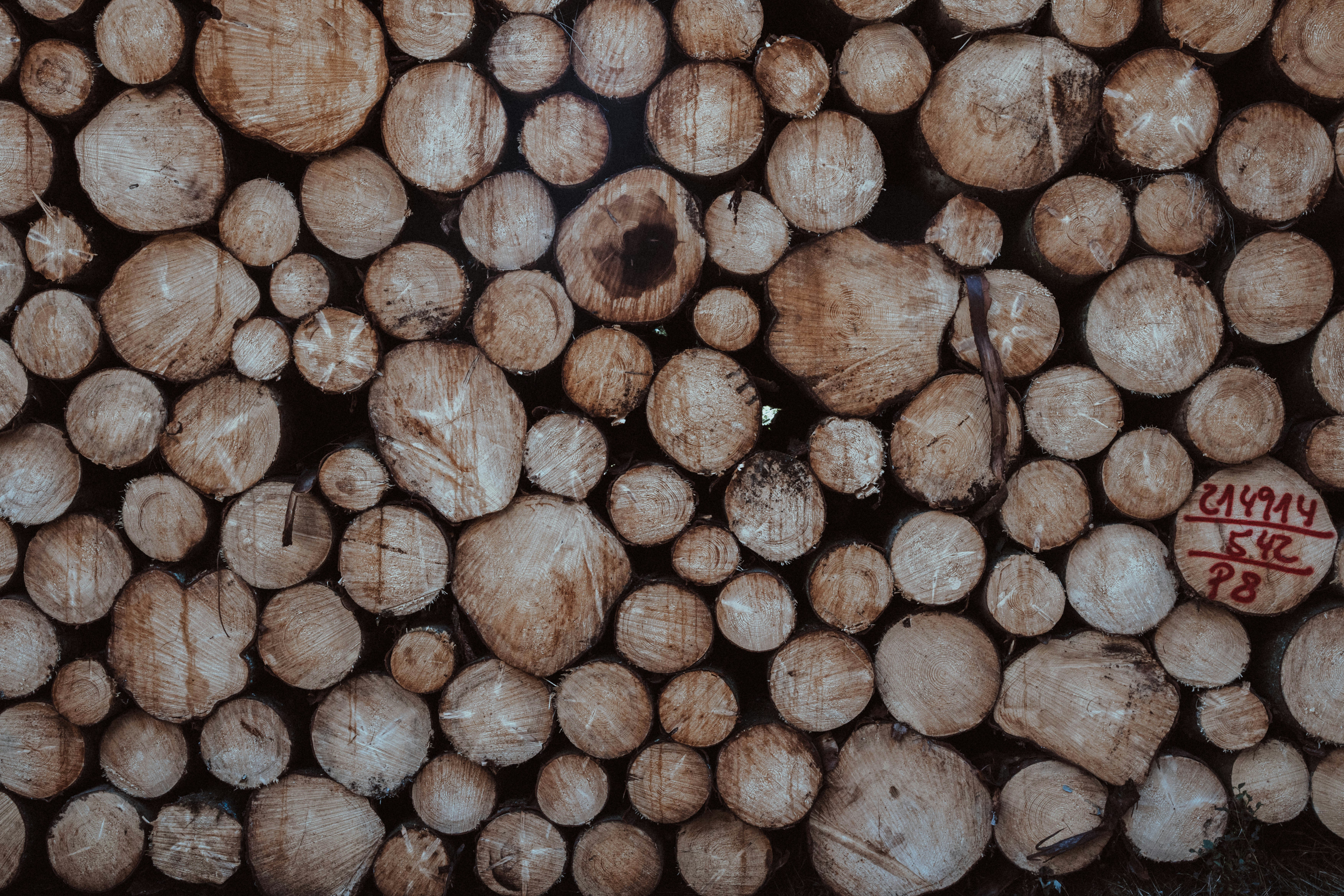 Photo by masoodaslami