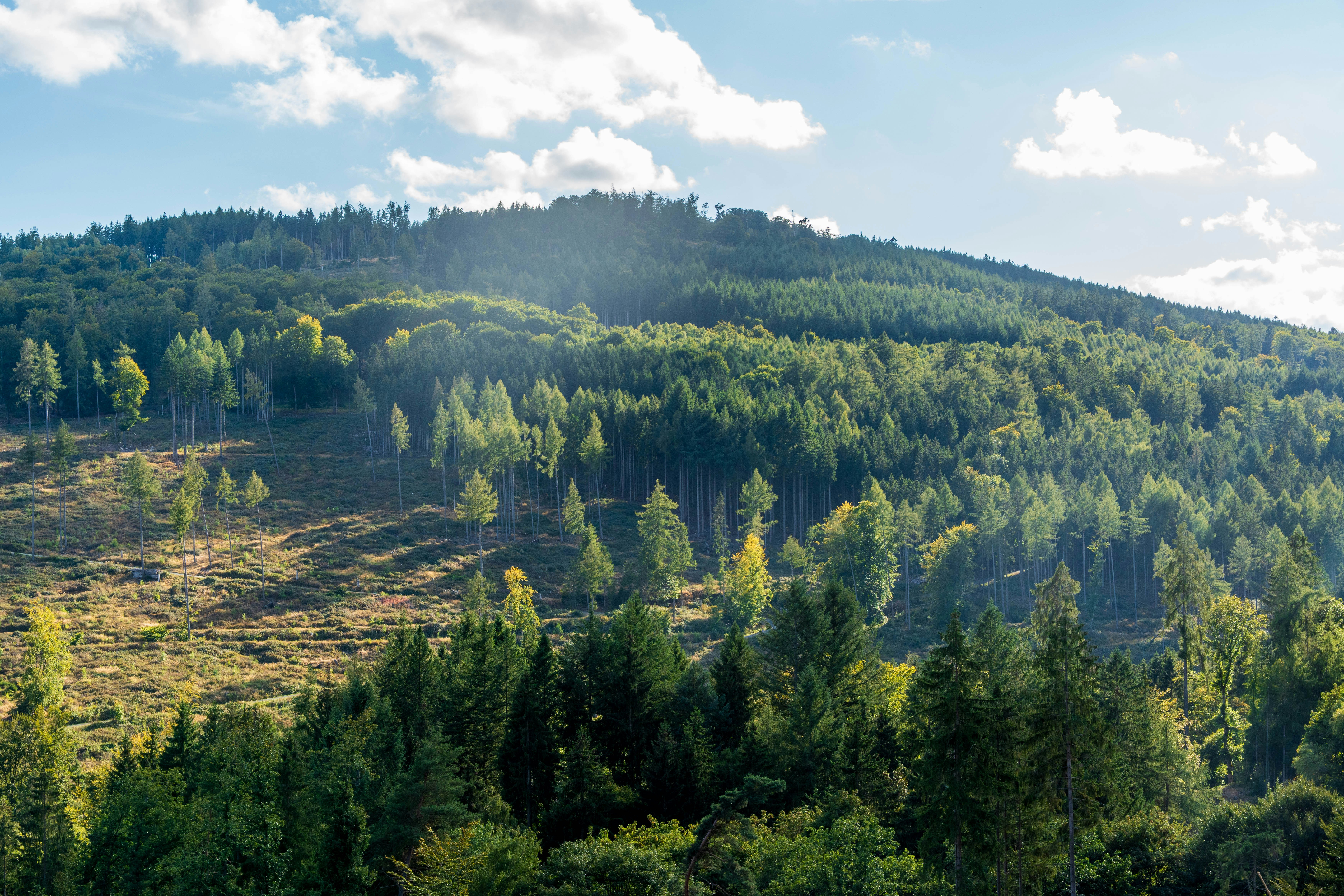 Photo by masoodaslami