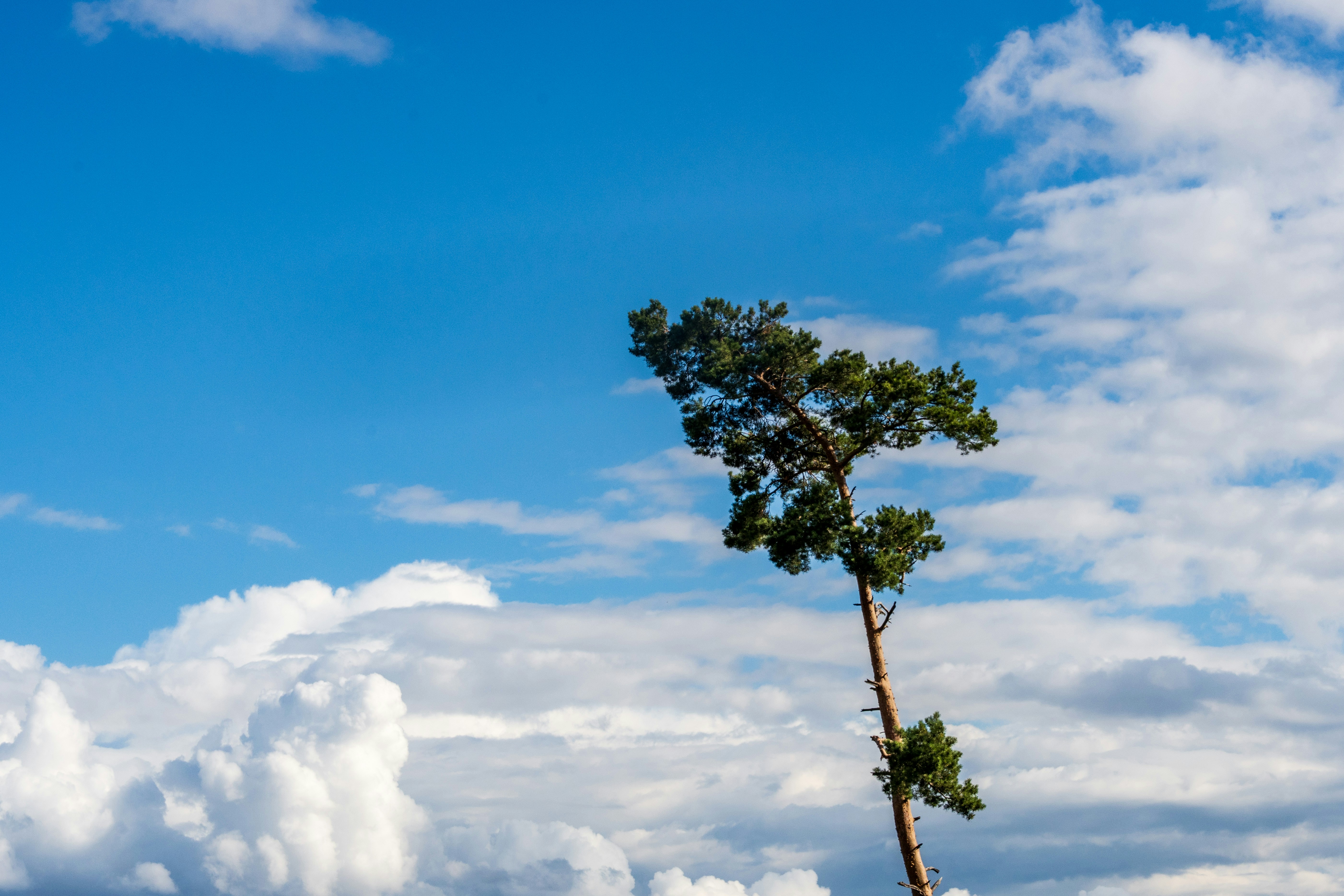 Photo by masoodaslami