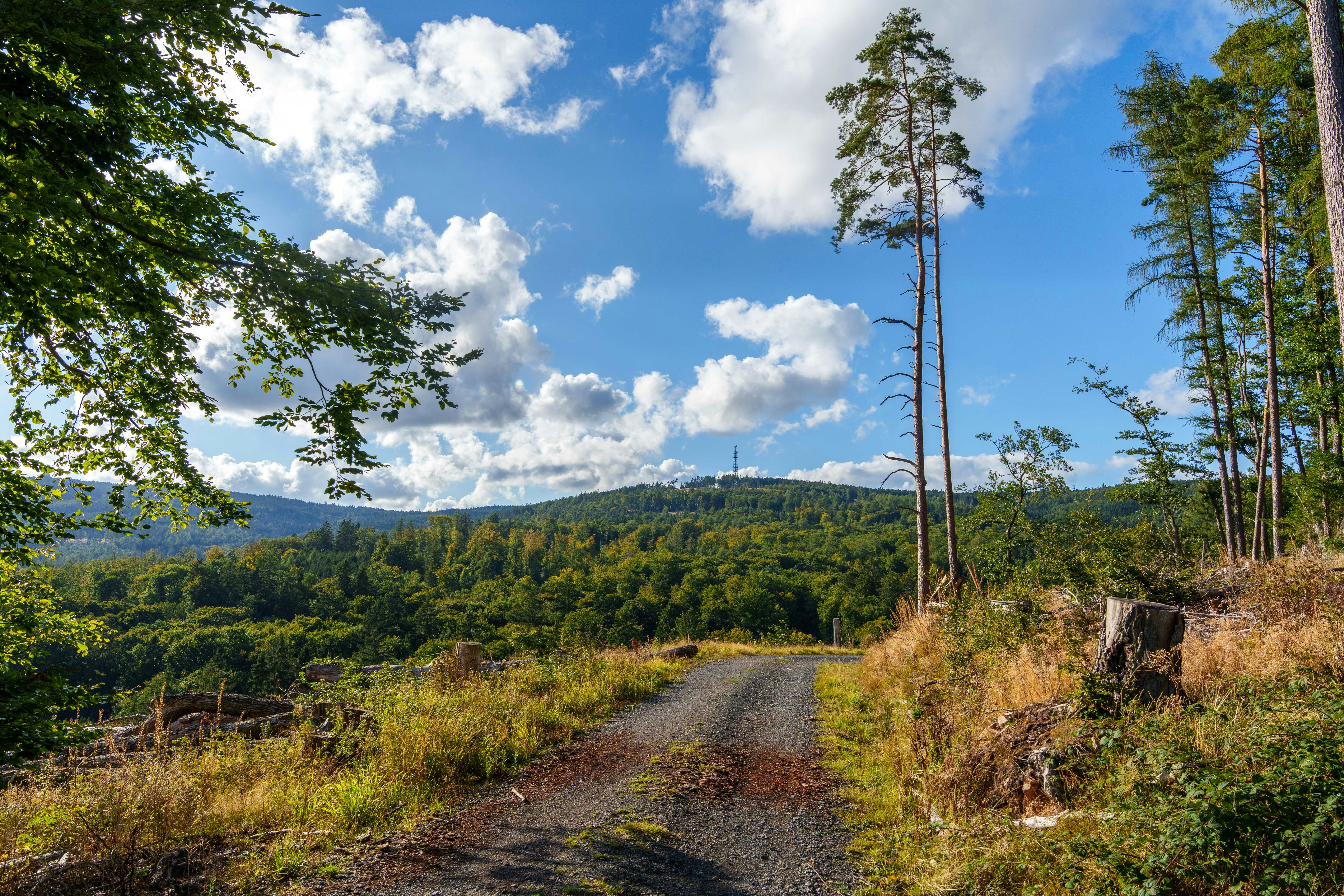 Photo by masoodaslami