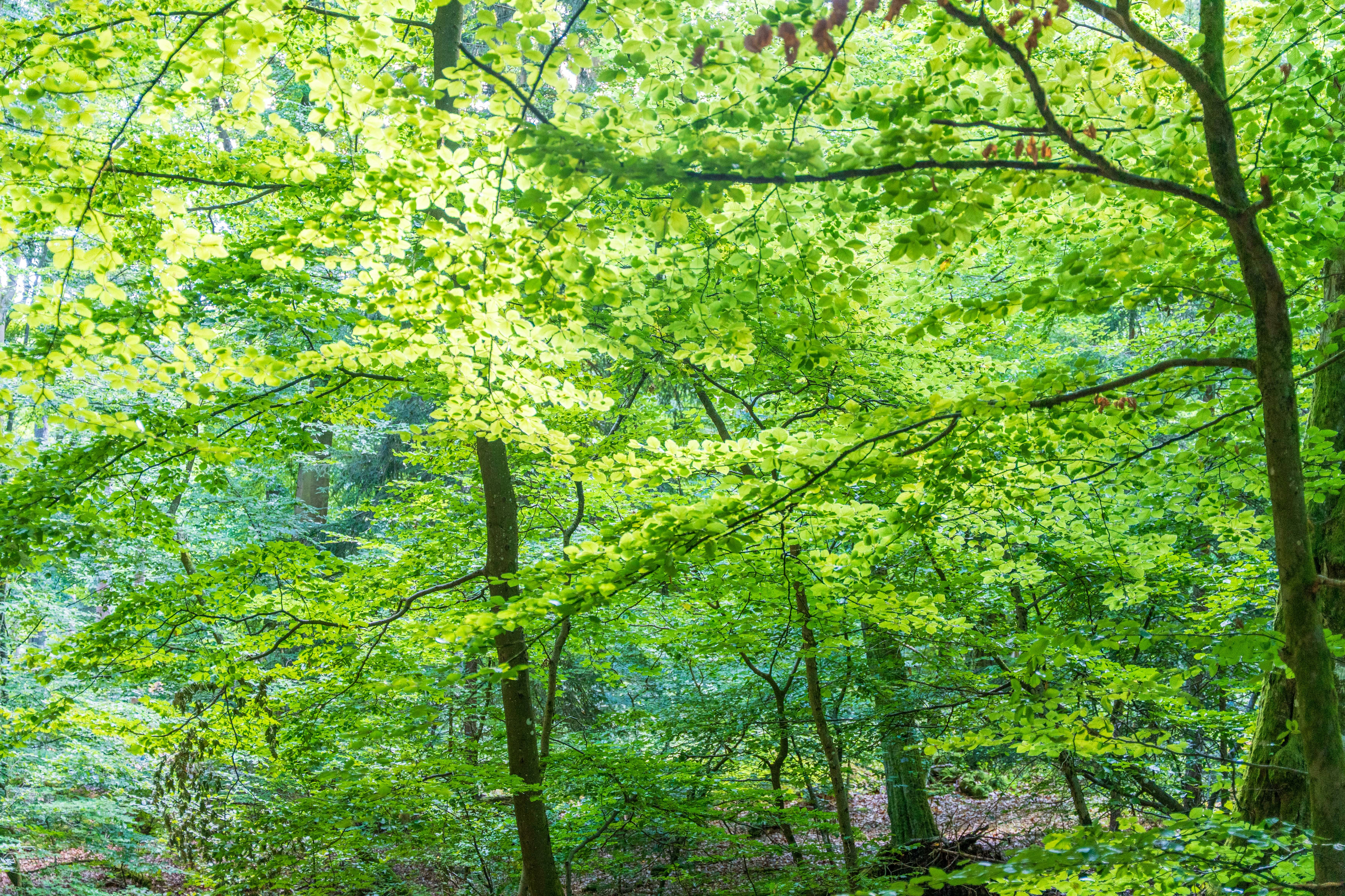 Photo by masoodaslami