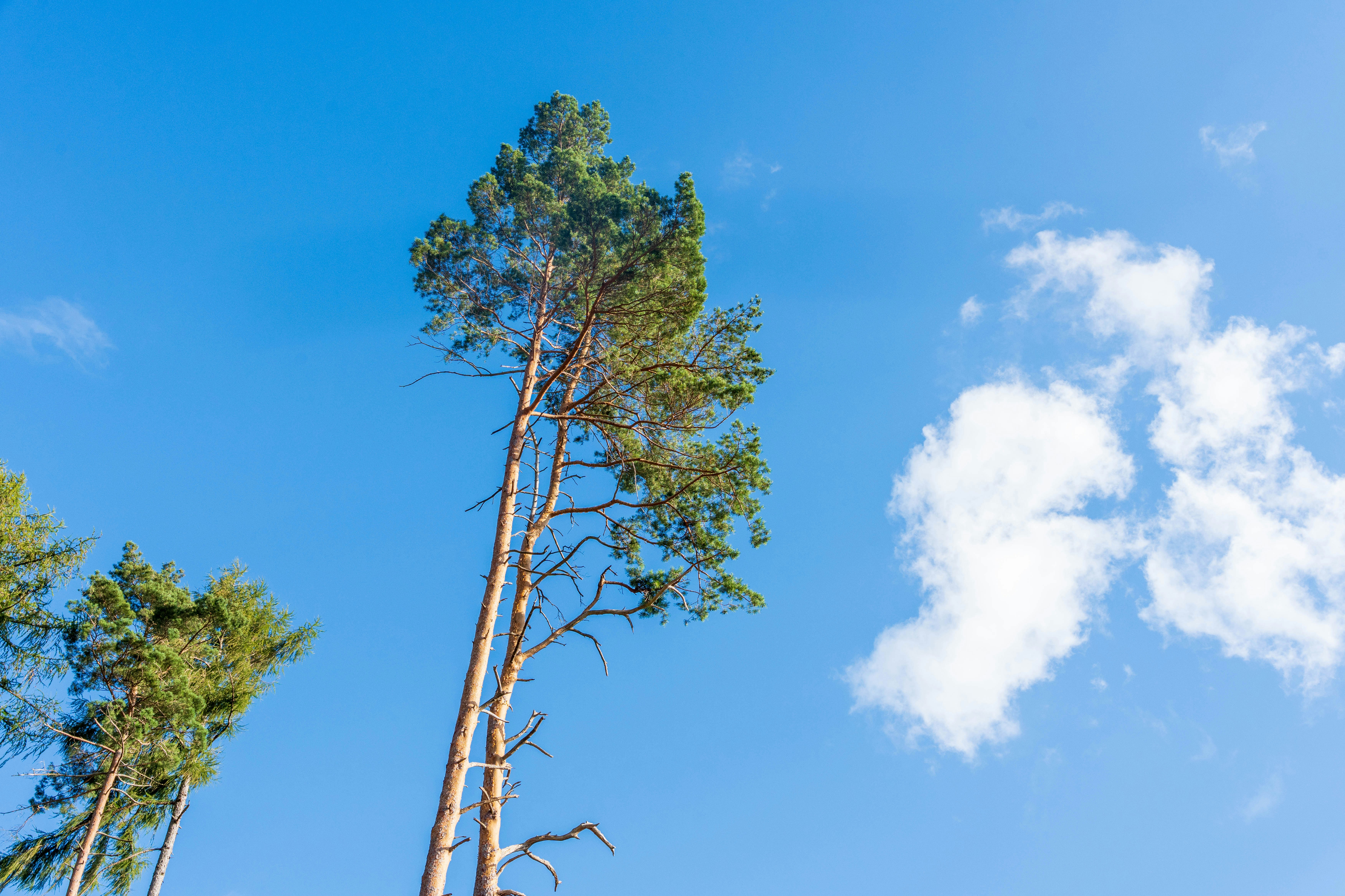 Photo by masoodaslami