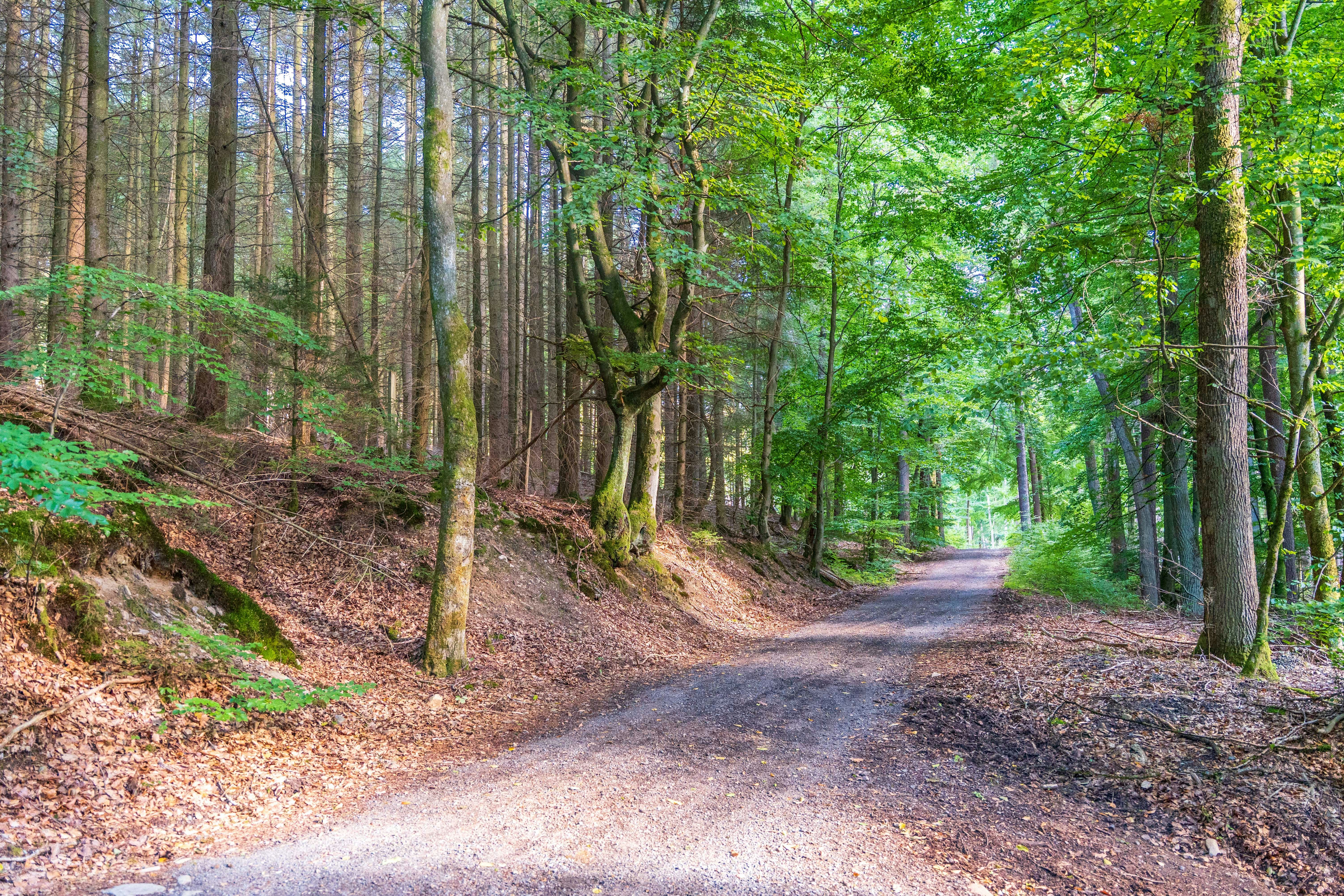 Photo by masoodaslami