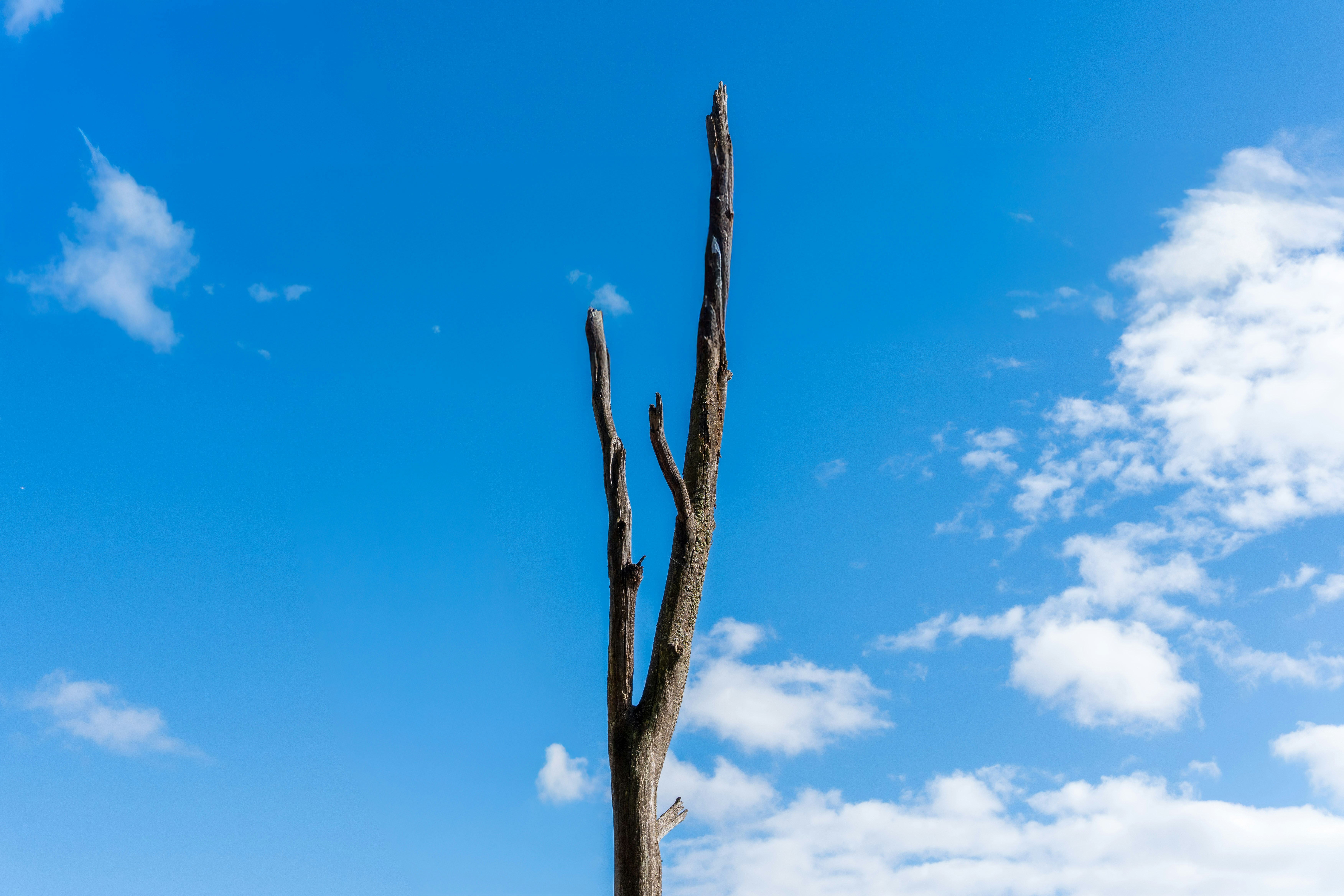 Photo by masoodaslami