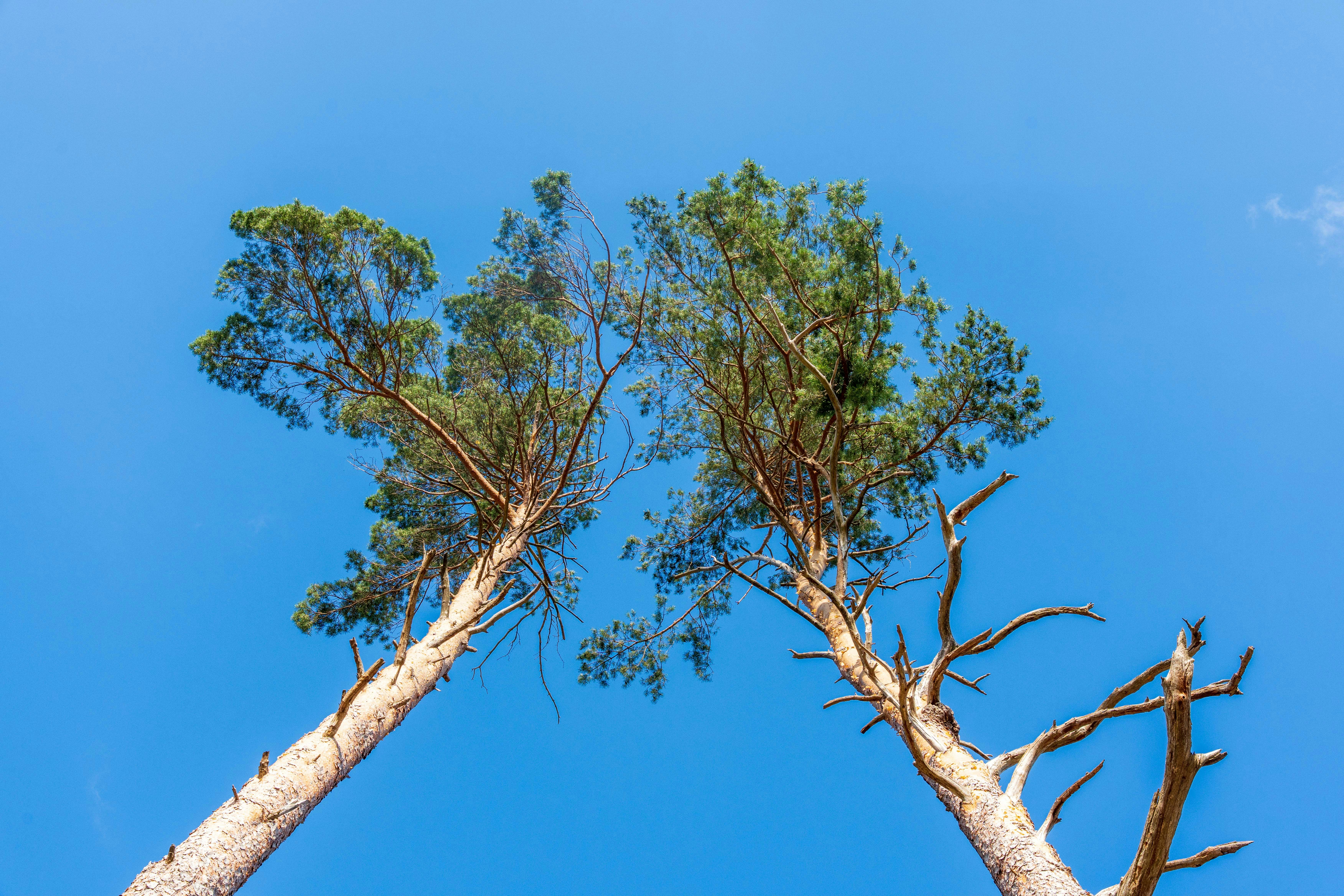 Photo by masoodaslami