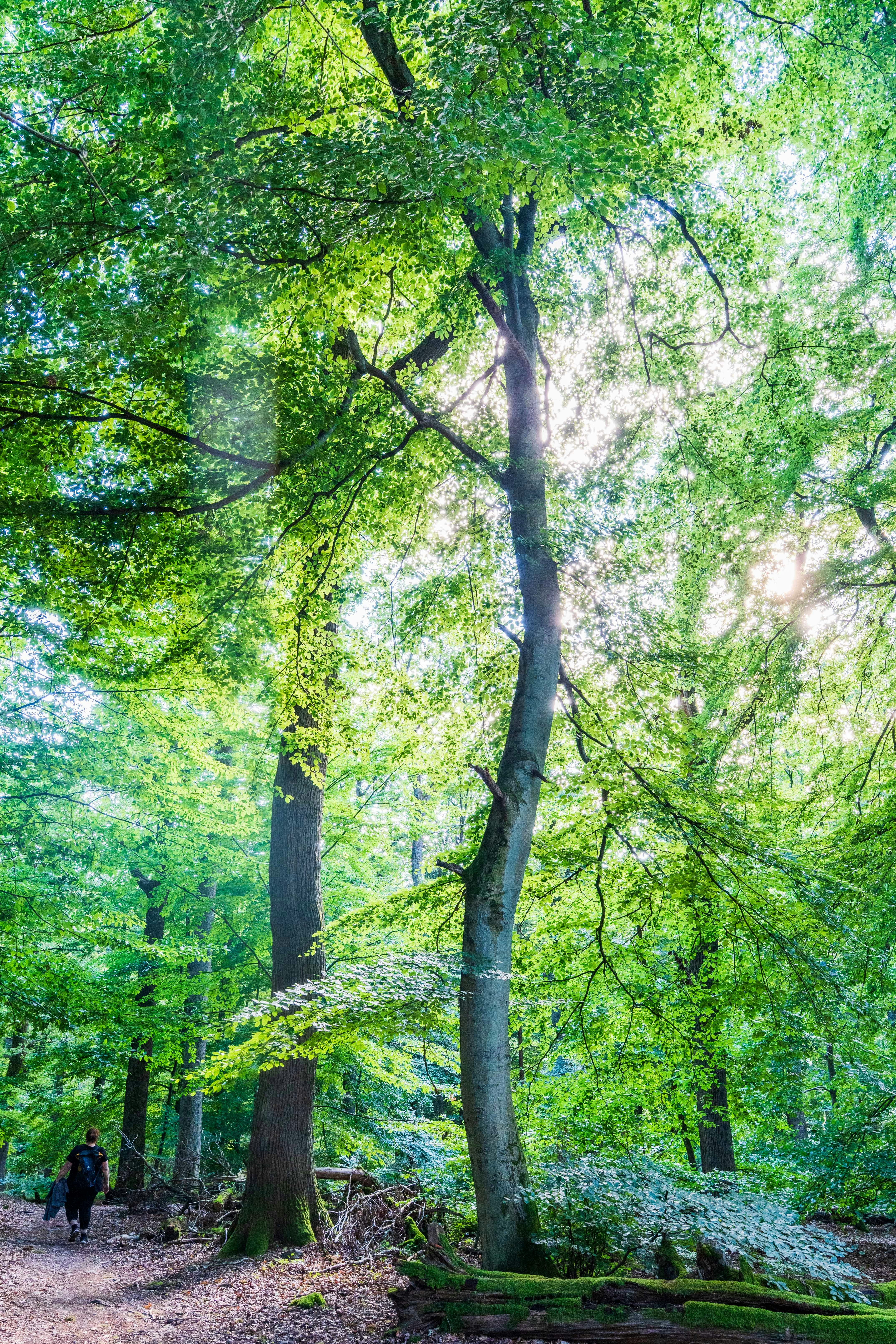 Photo by masoodaslami