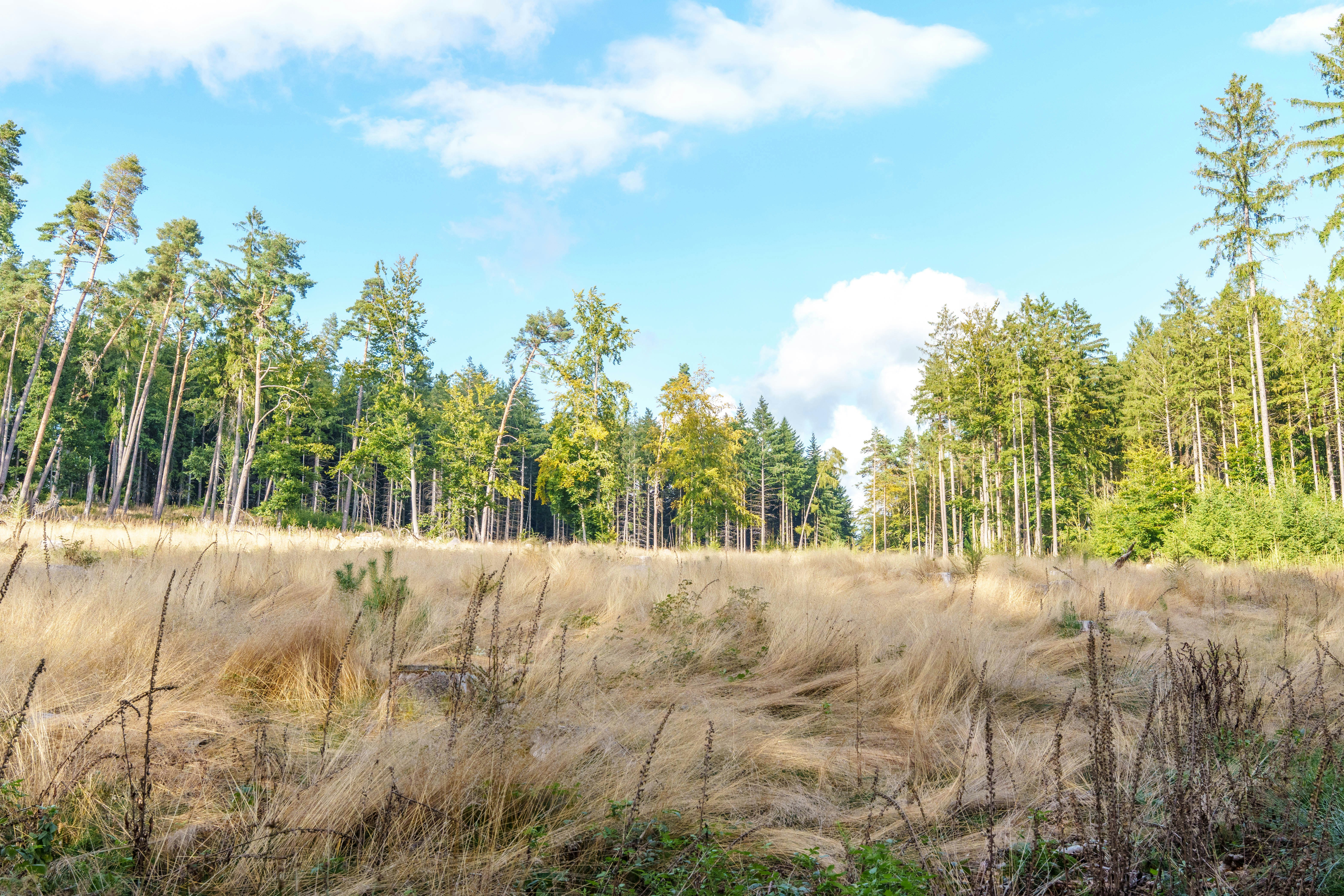 Photo by masoodaslami