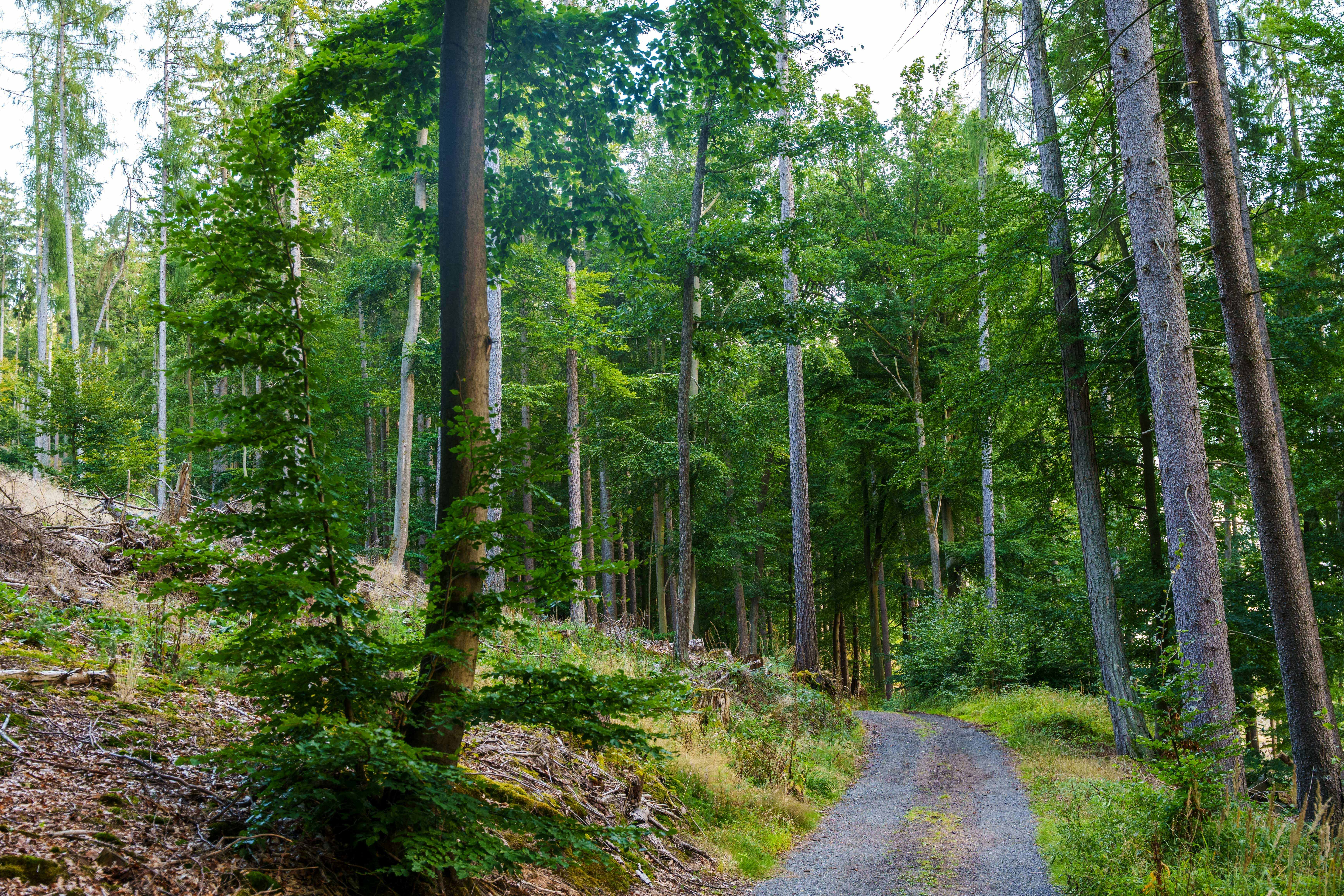 Photo by masoodaslami