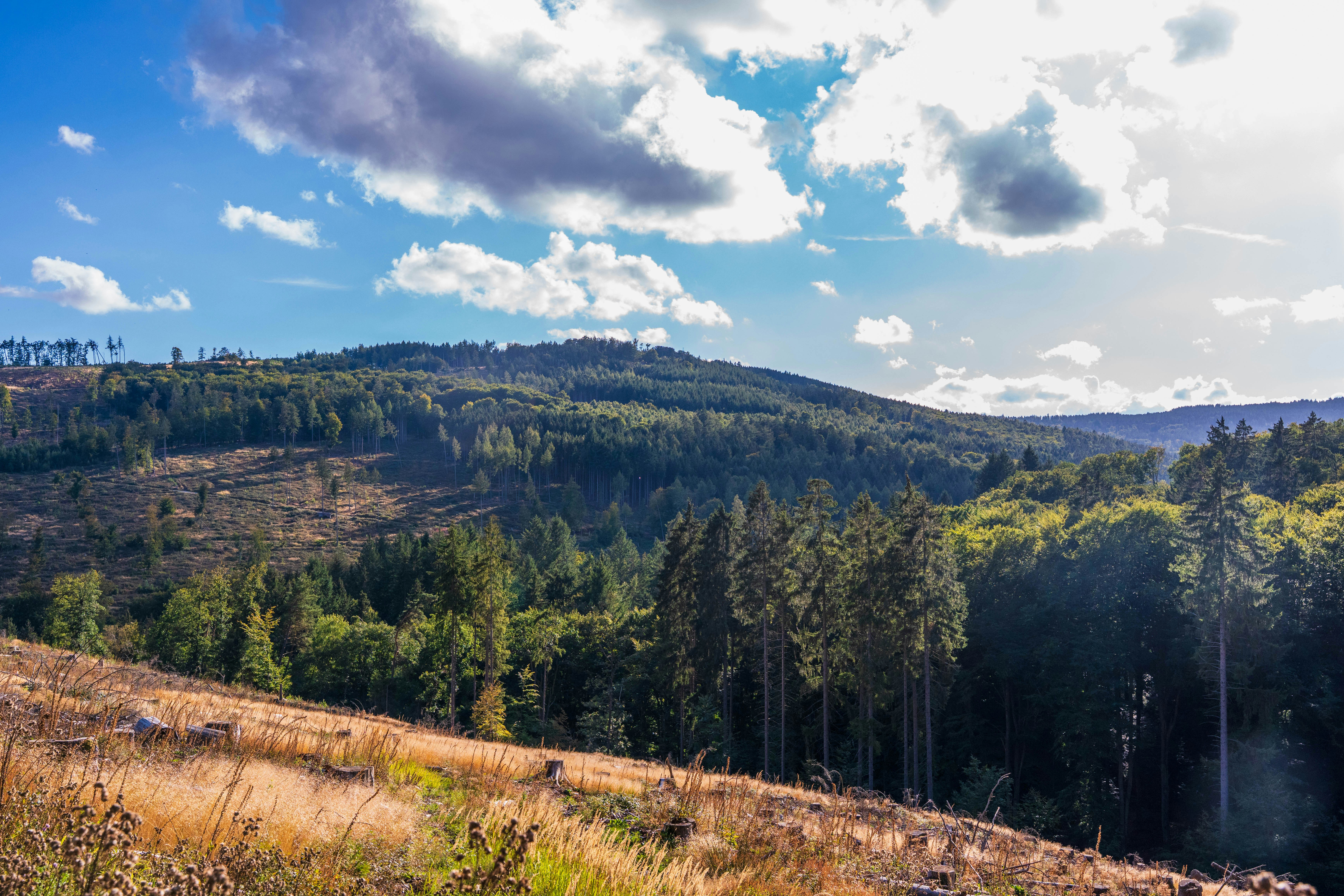 Photo by masoodaslami