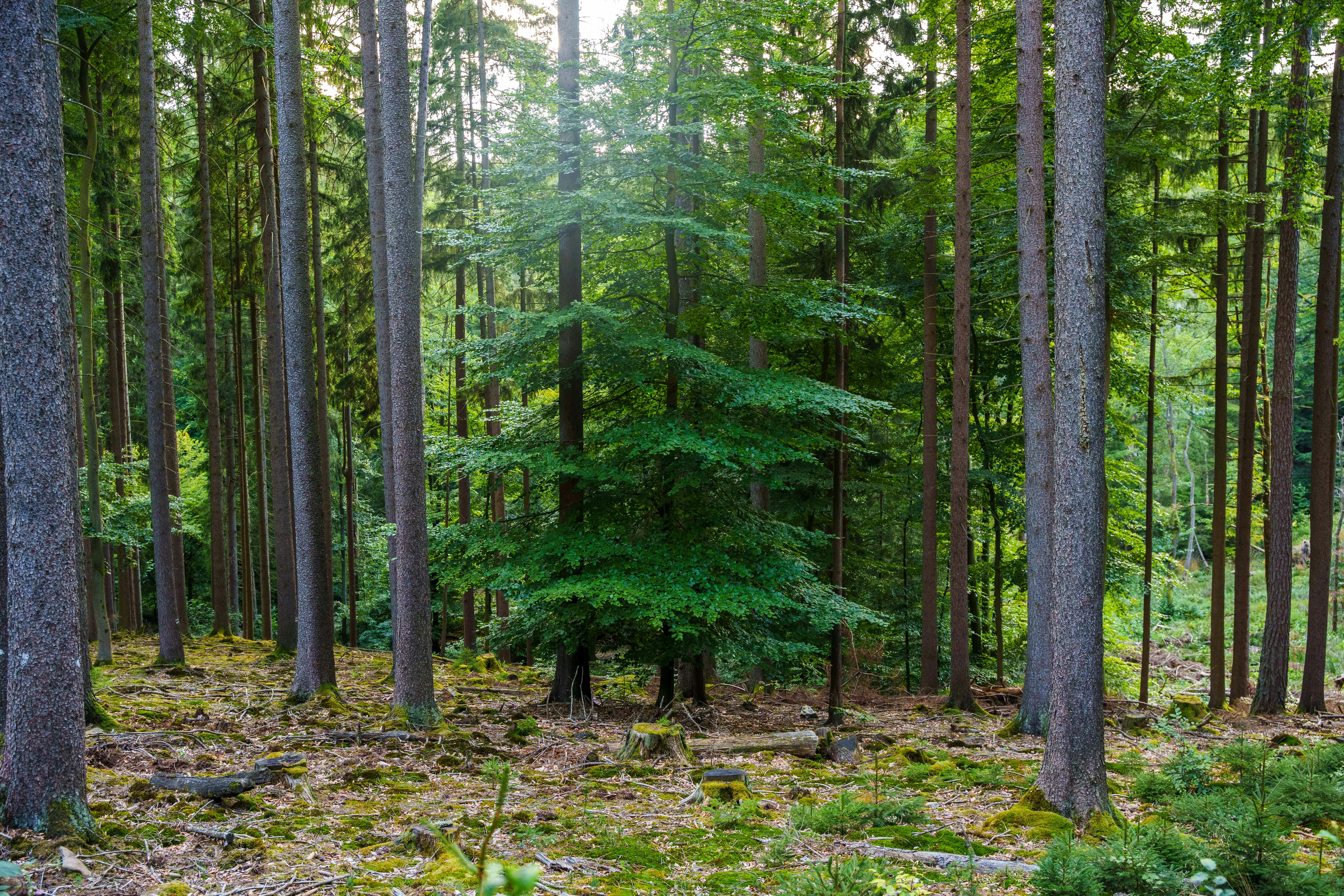 Photo by masoodaslami