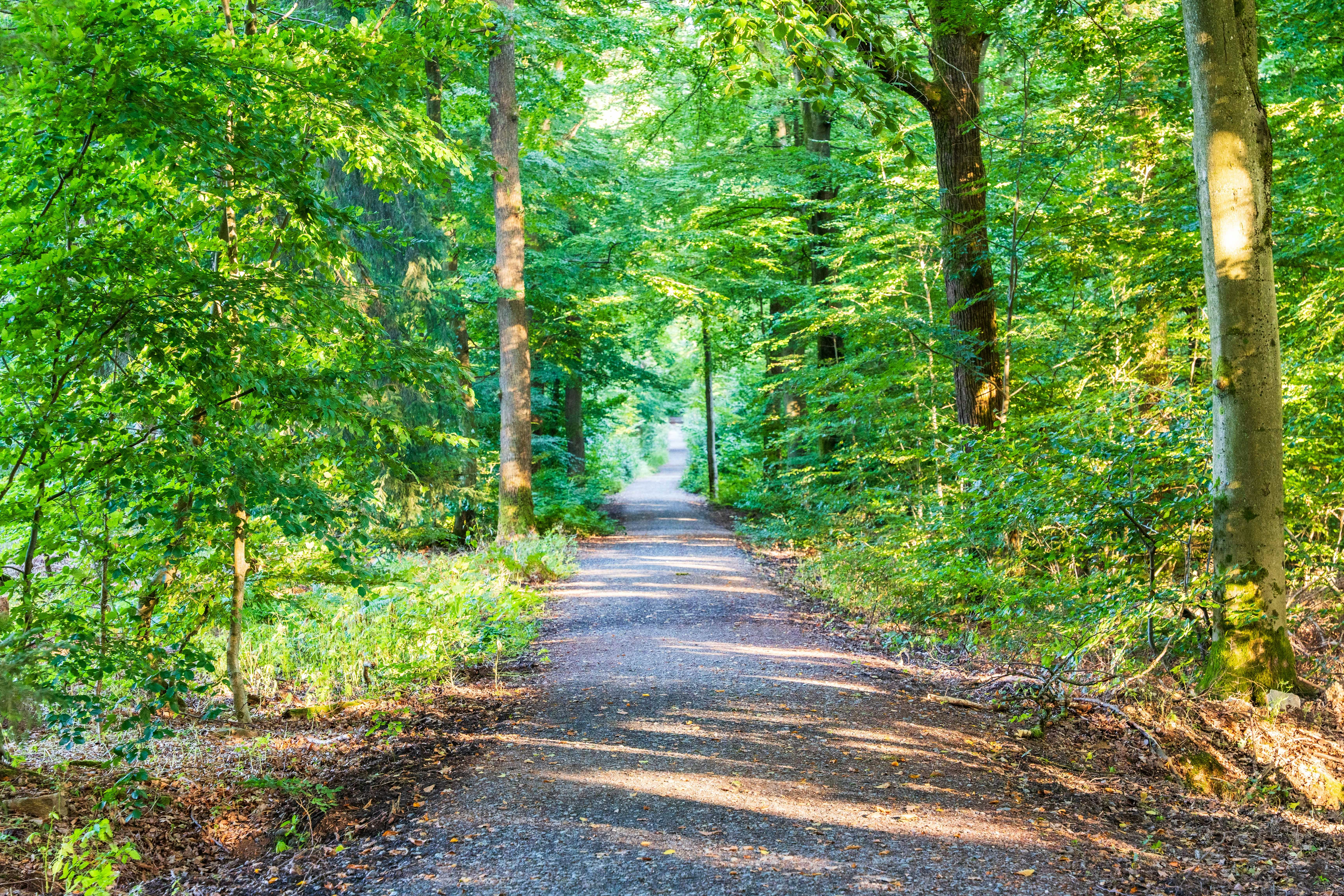 Photo by masoodaslami