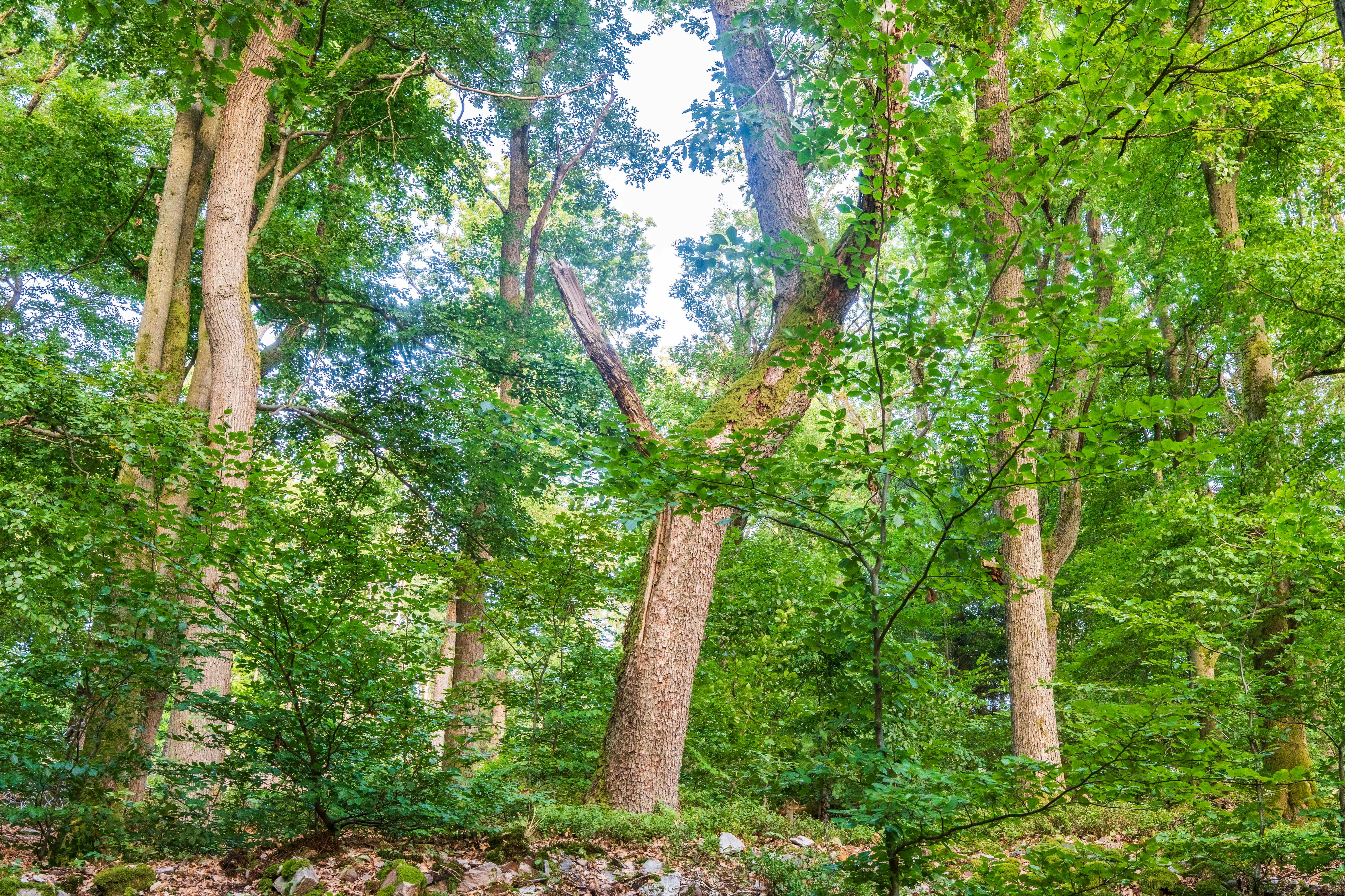 Photo by masoodaslami