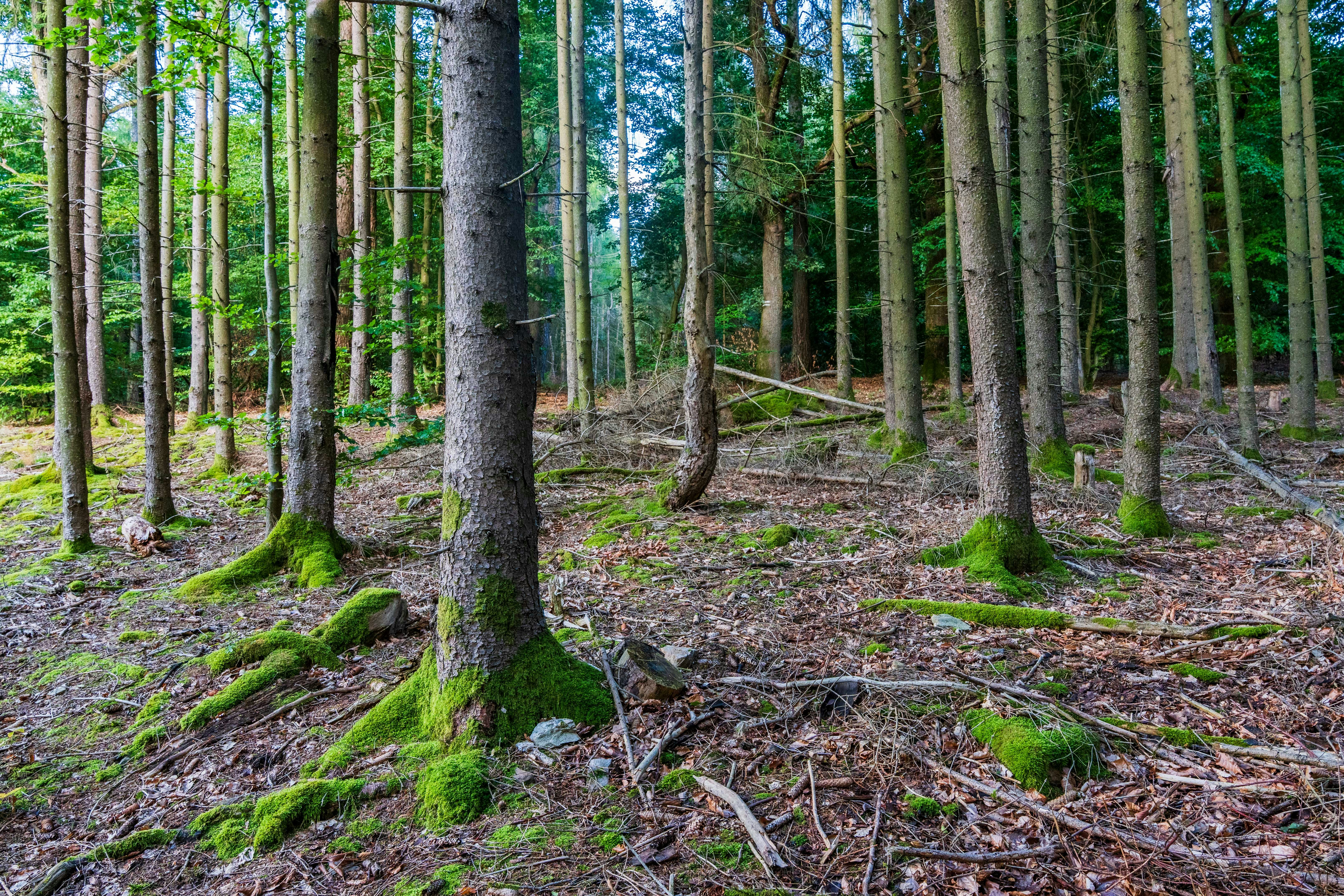 Photo by masoodaslami