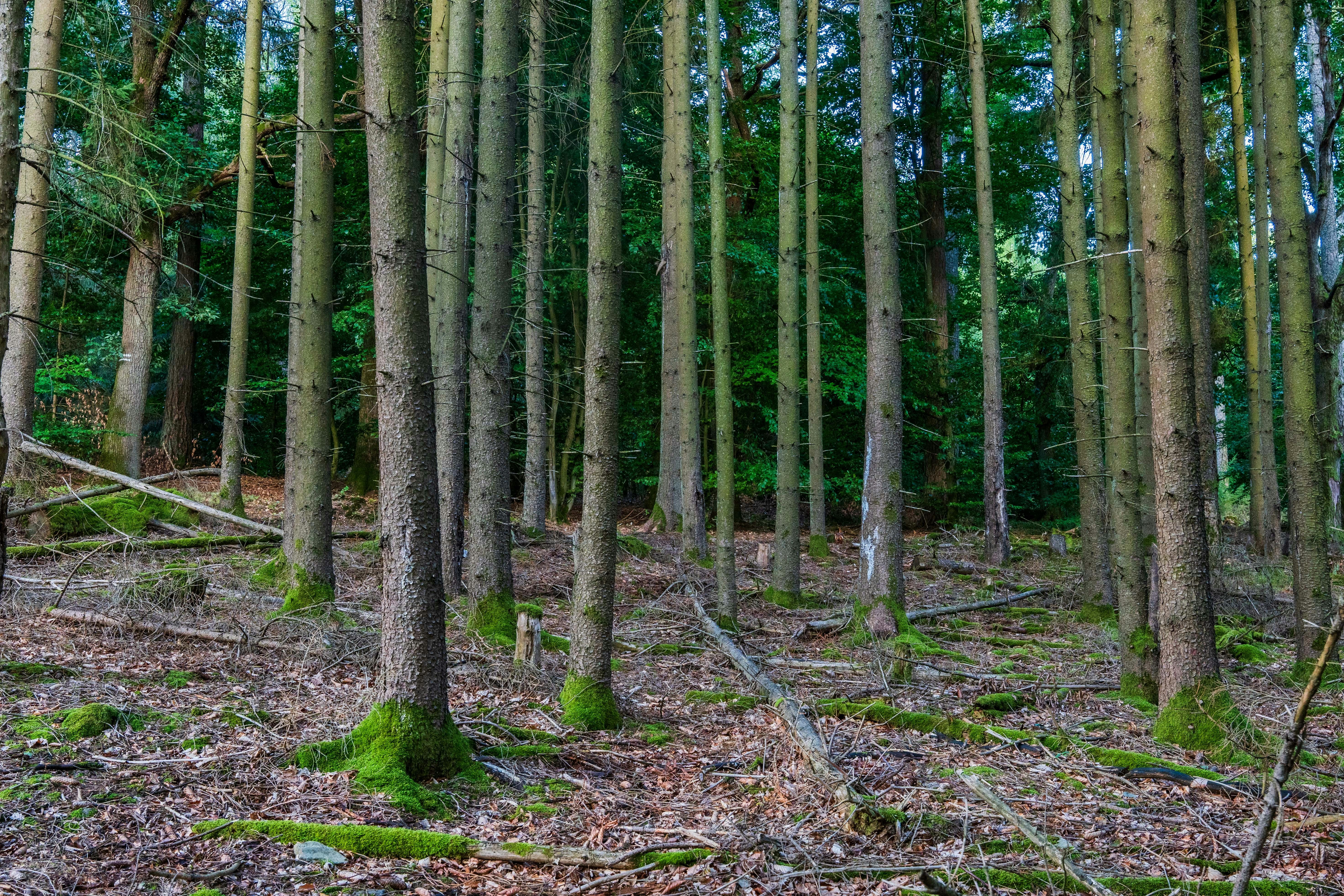 Photo by masoodaslami