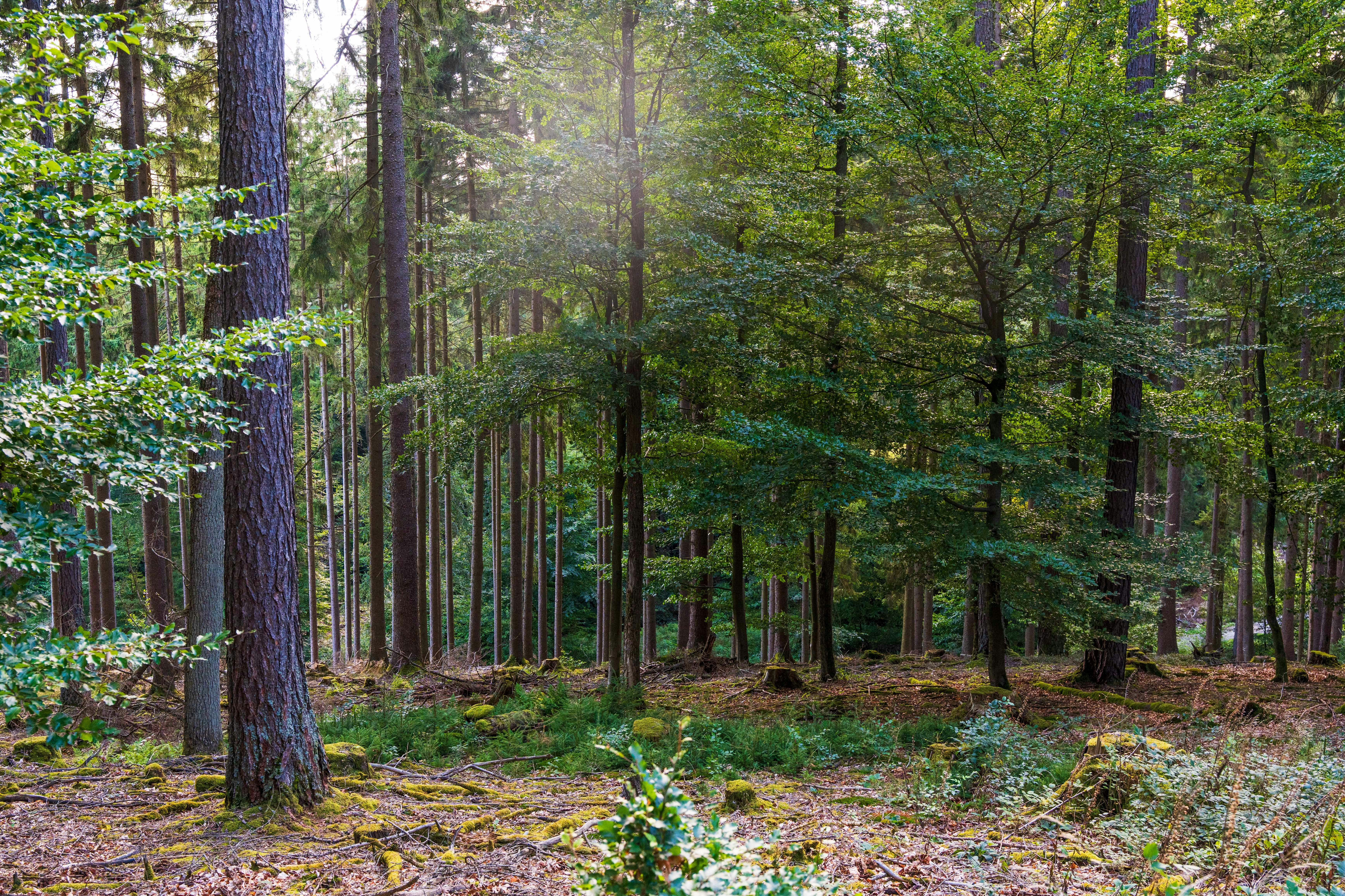 Photo by masoodaslami