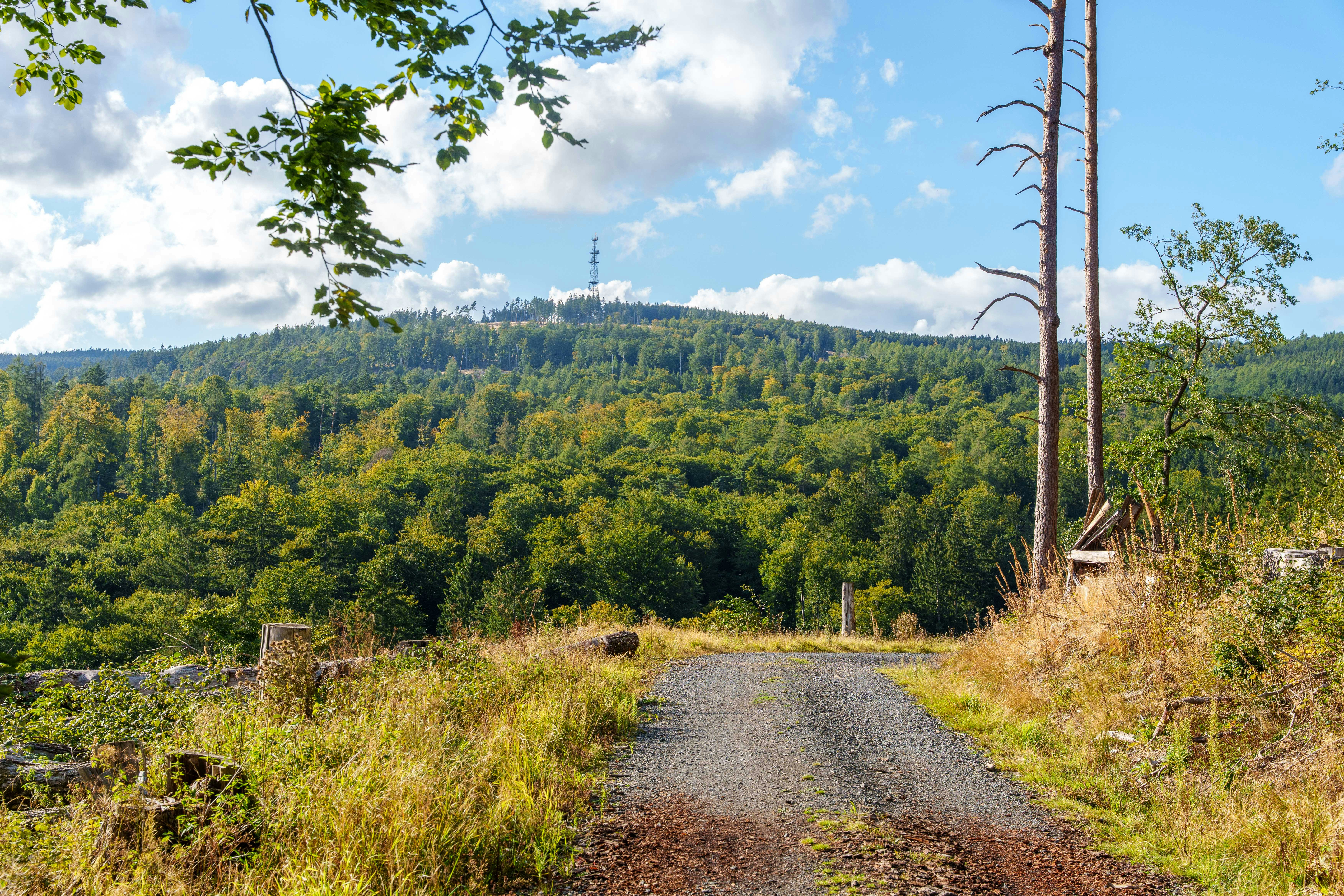 Photo by masoodaslami