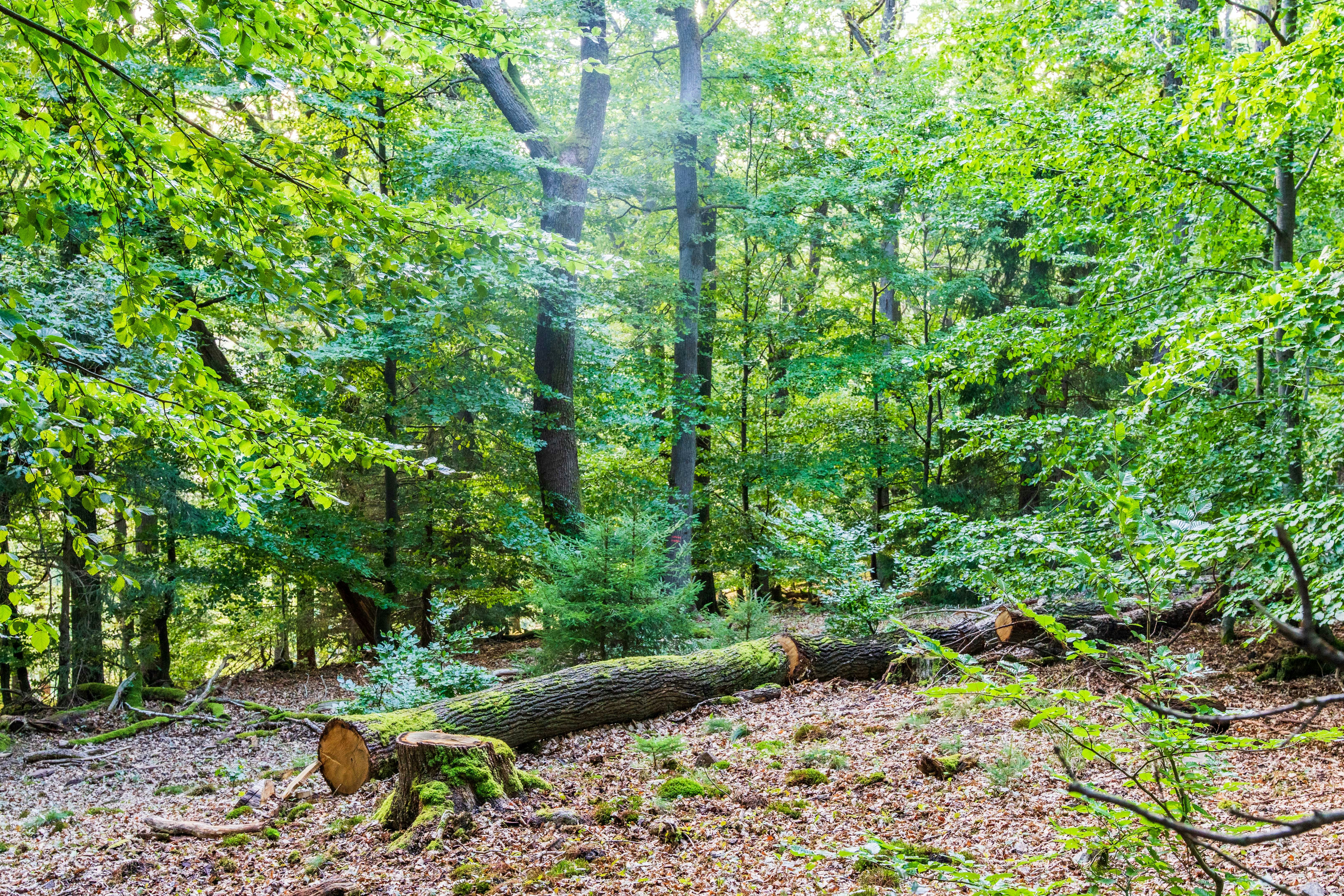 Photo by masoodaslami