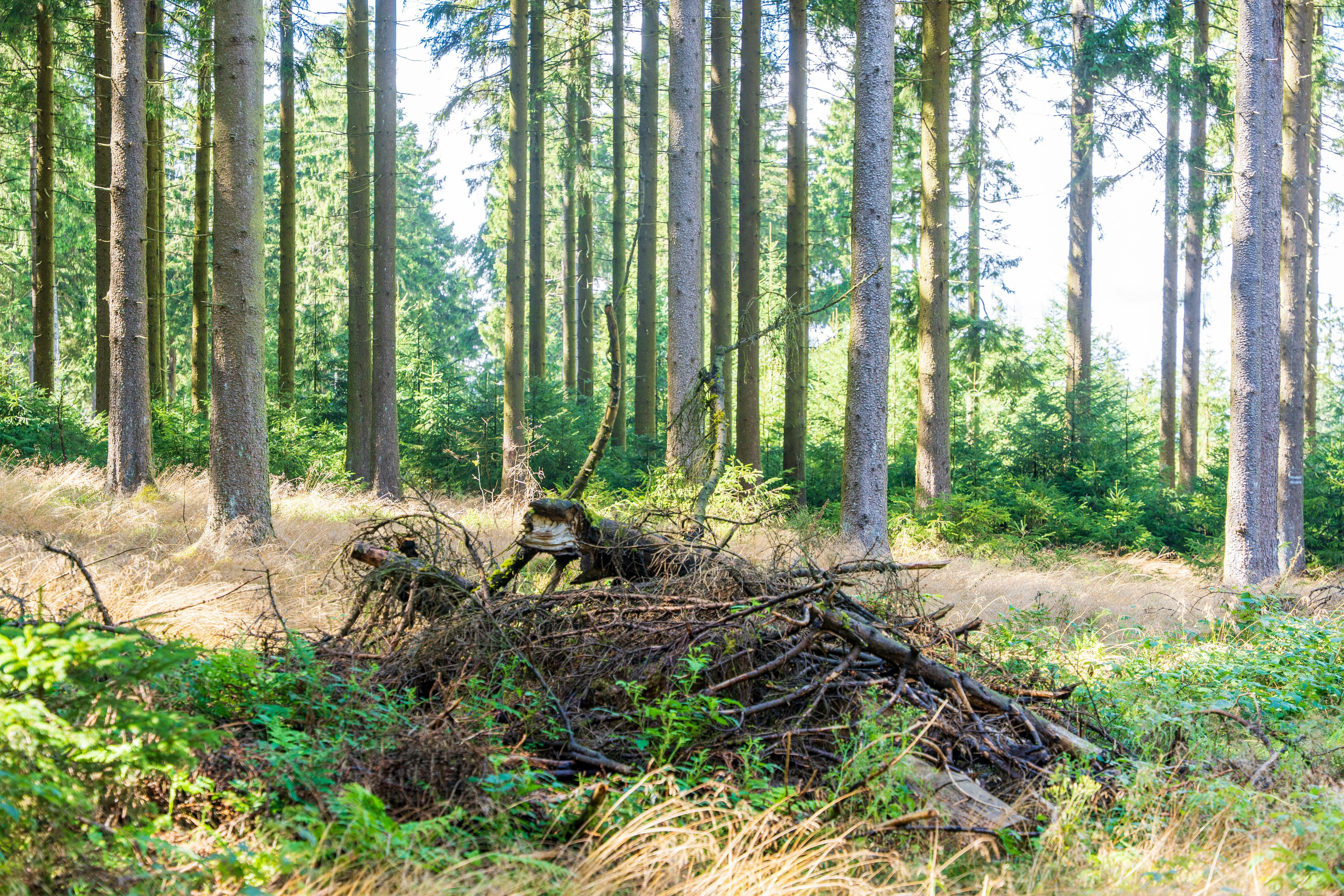 Photo by masoodaslami