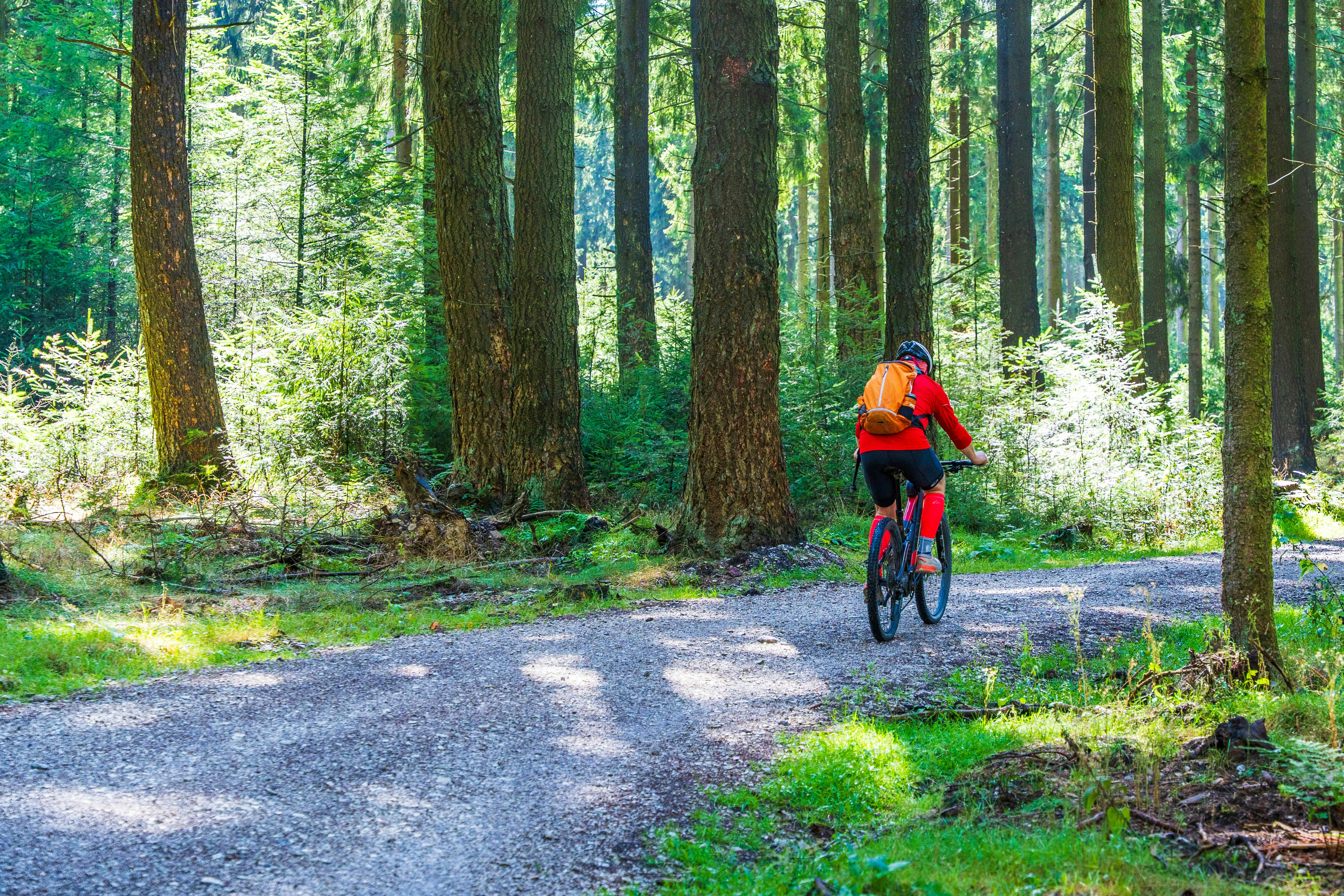 Photo by masoodaslami