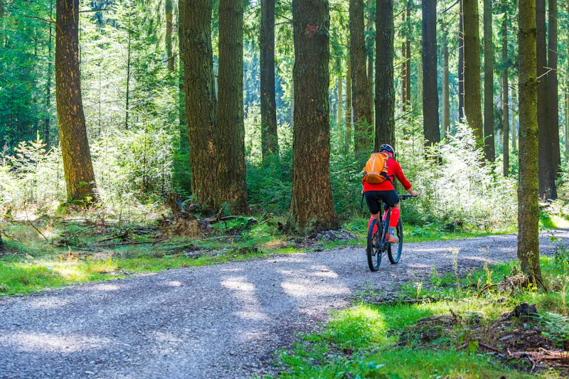 Ciclista em trilho de floresta com mudanças de luz