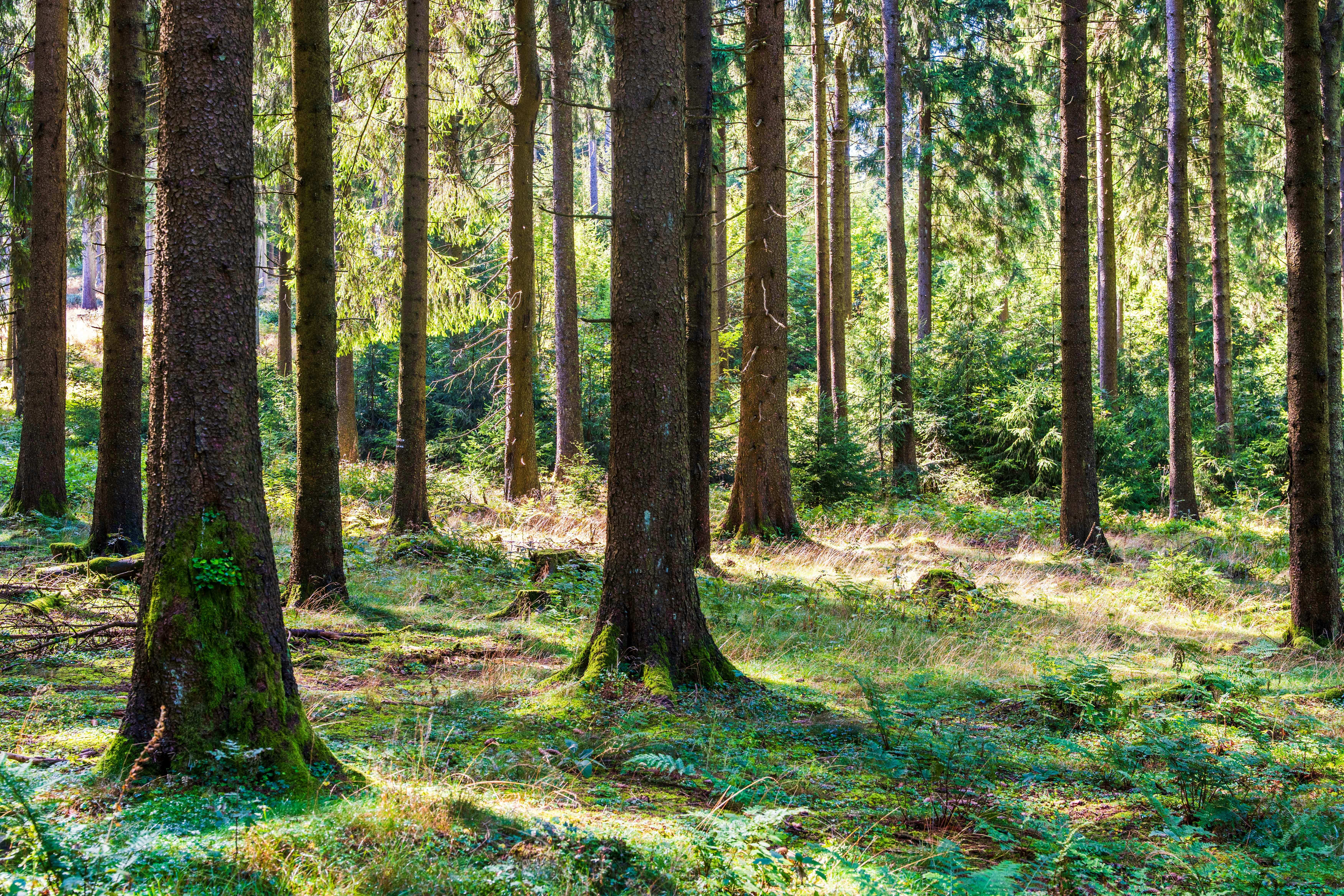 Photo by masoodaslami