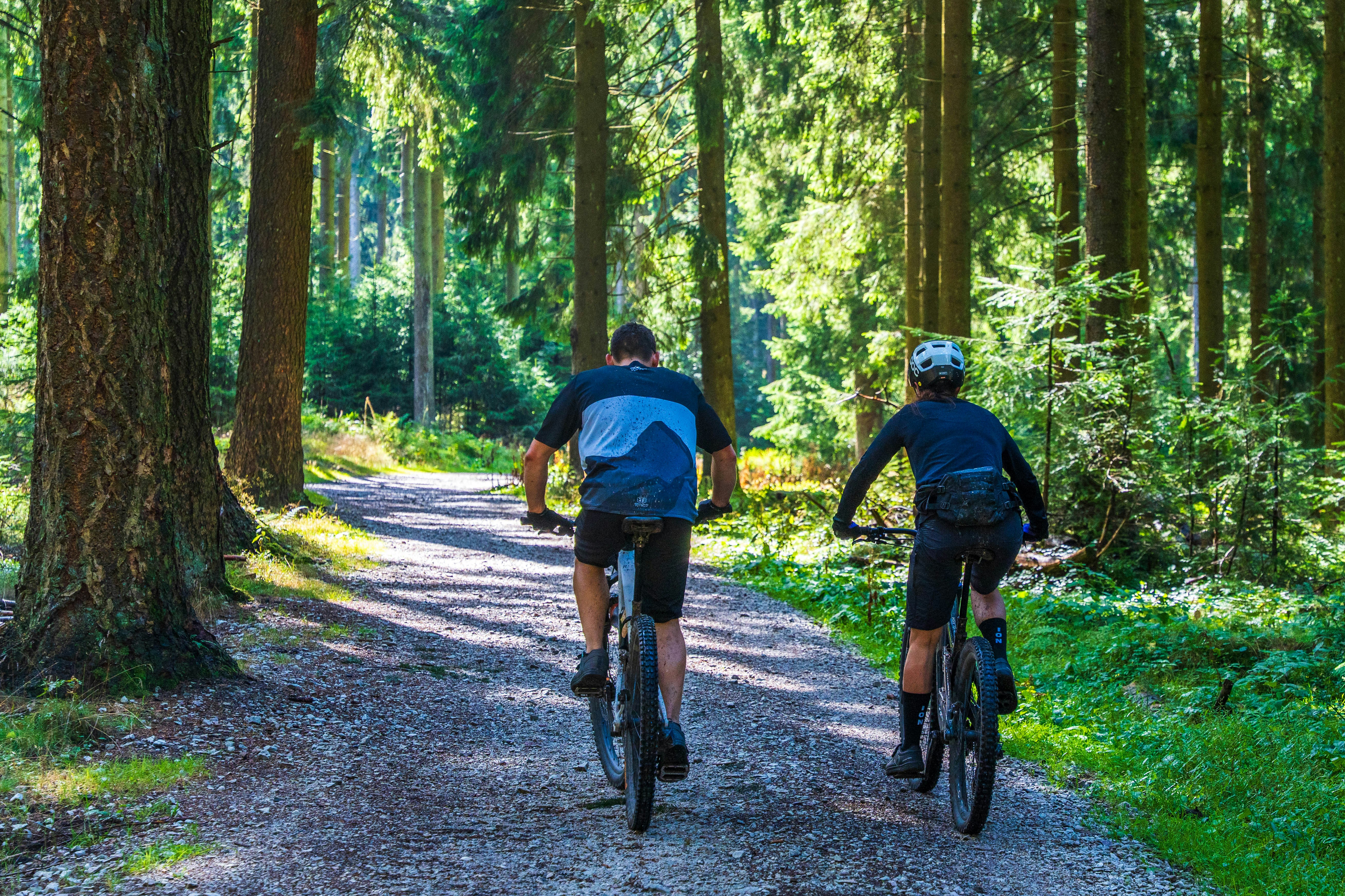 Photo by masoodaslami