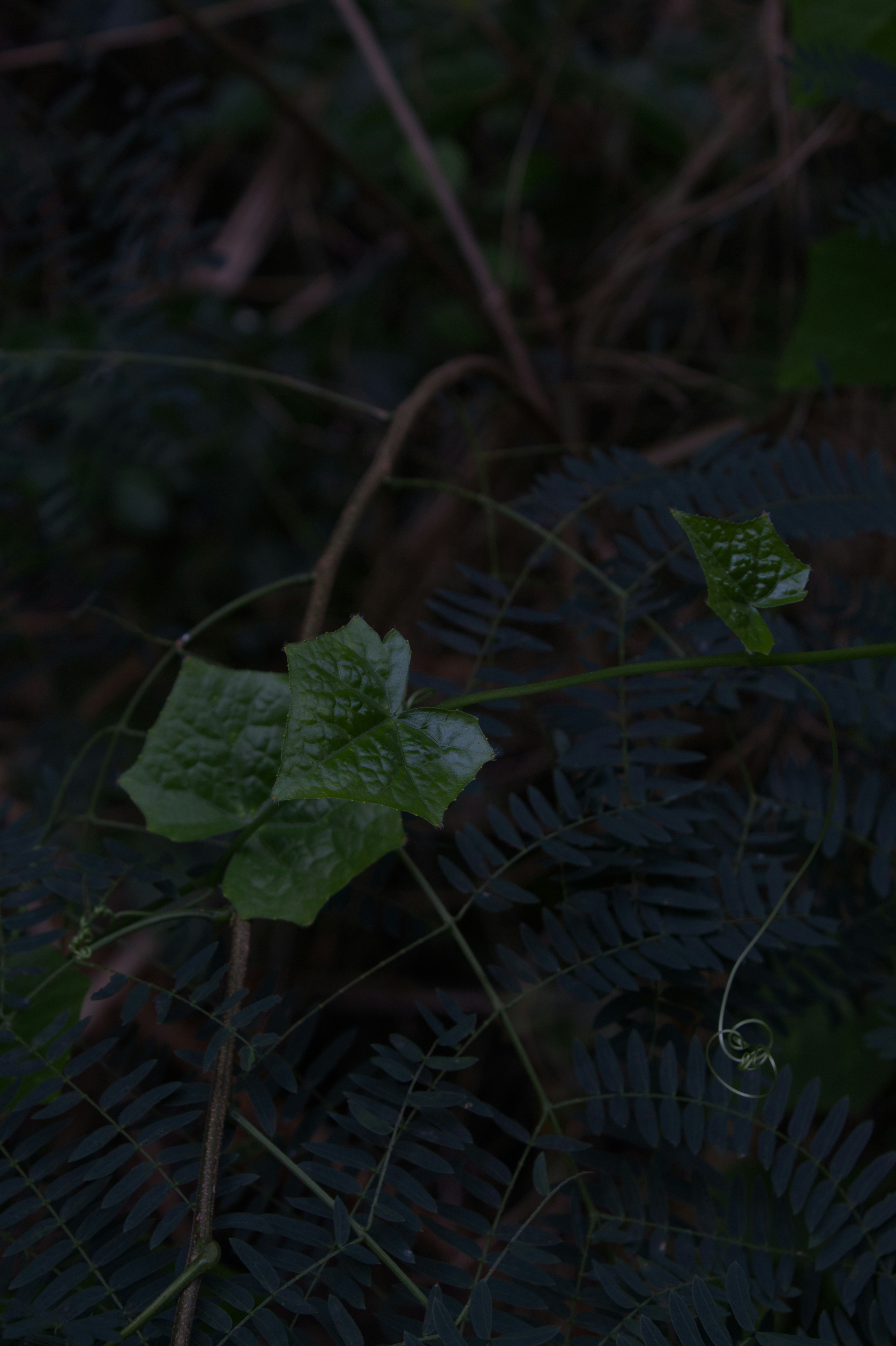 Photo by spaceboundstudio