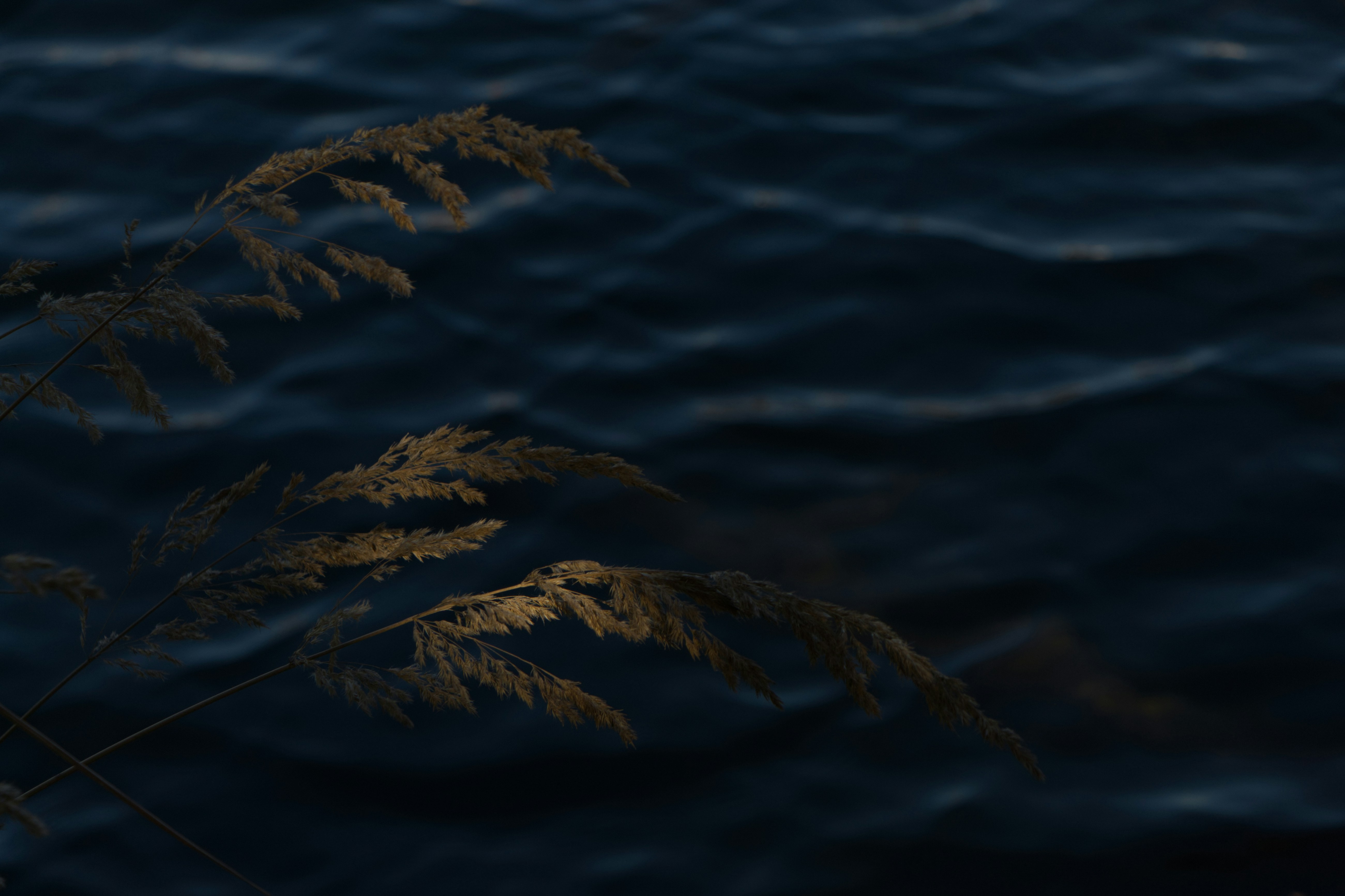 Photo by spaceboundstudio