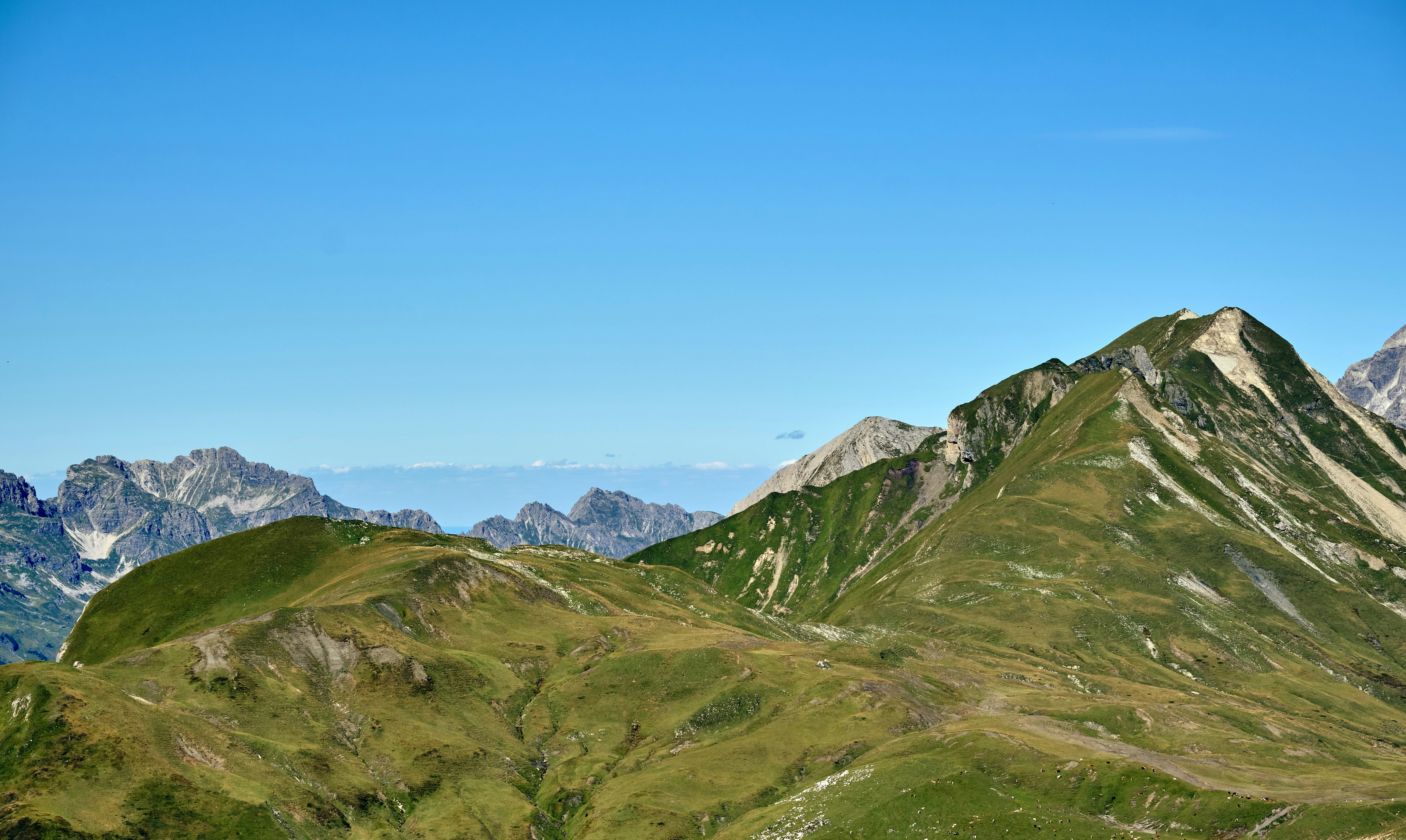 Green rolling hills with majestic mountains under clear blue sky