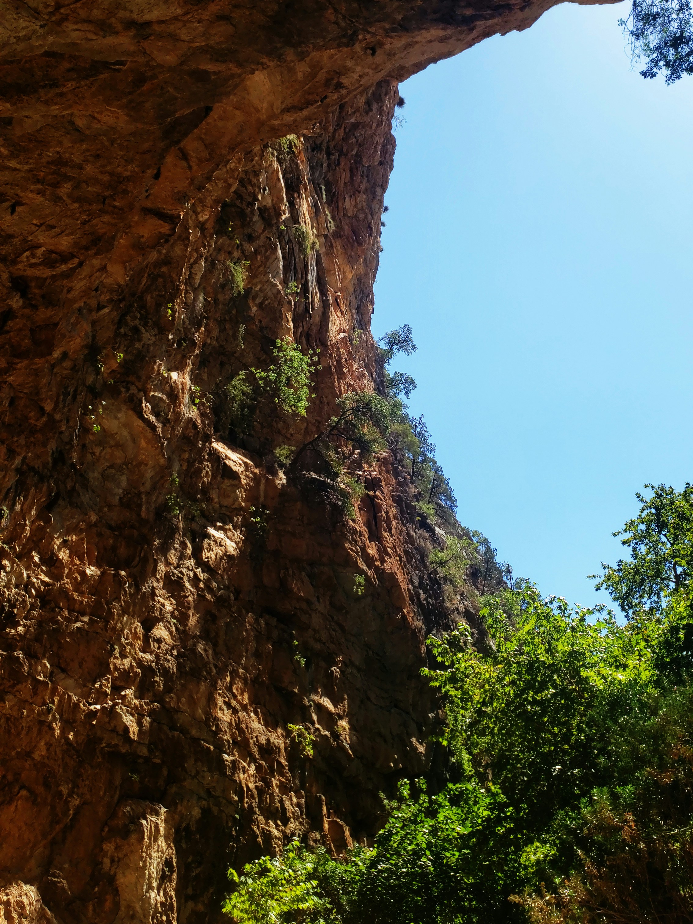 Photo by sametkurtkus