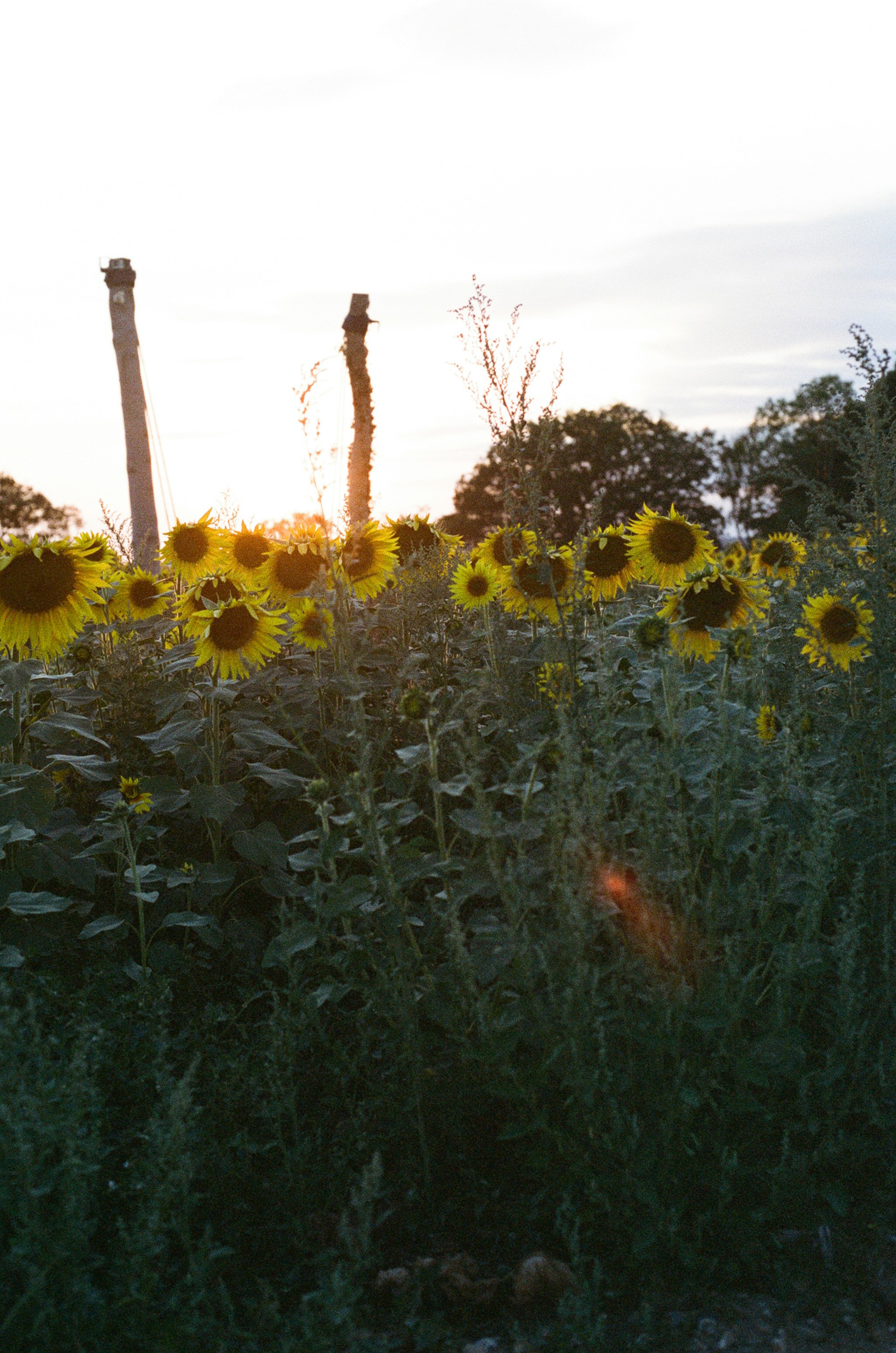 Photo by tanyabarrow