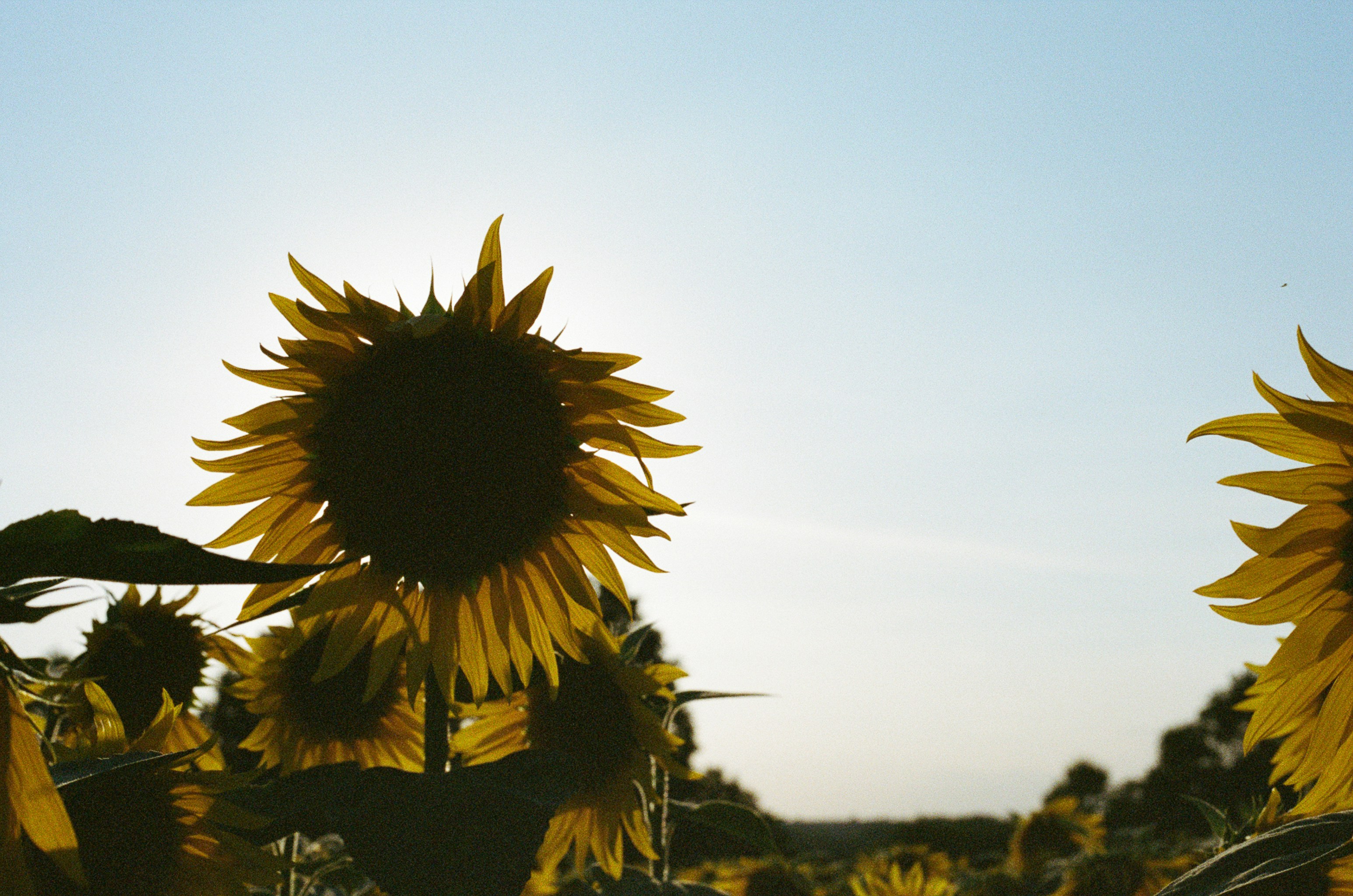 Photo by tanyabarrow