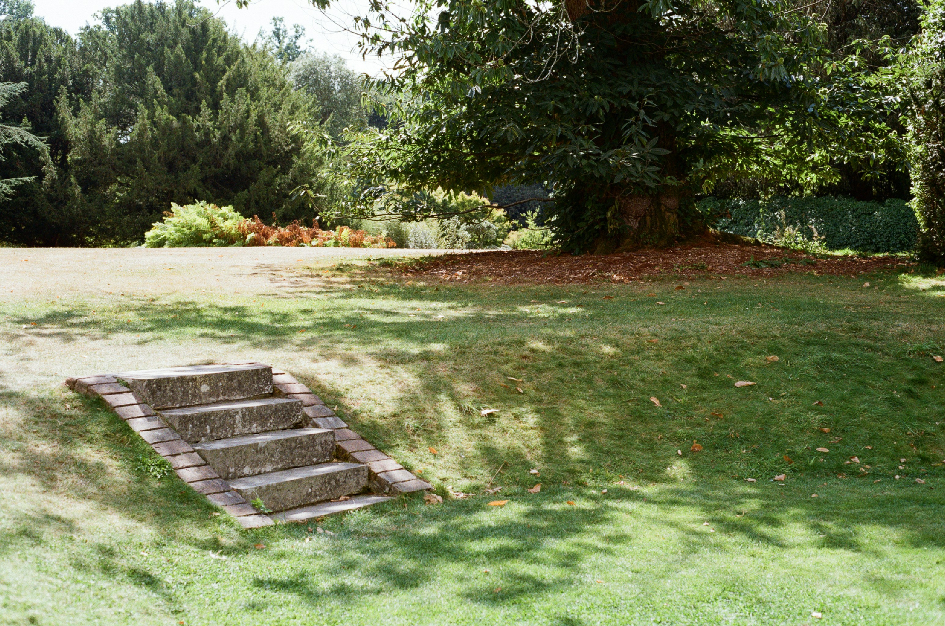 Photo by tanyabarrow