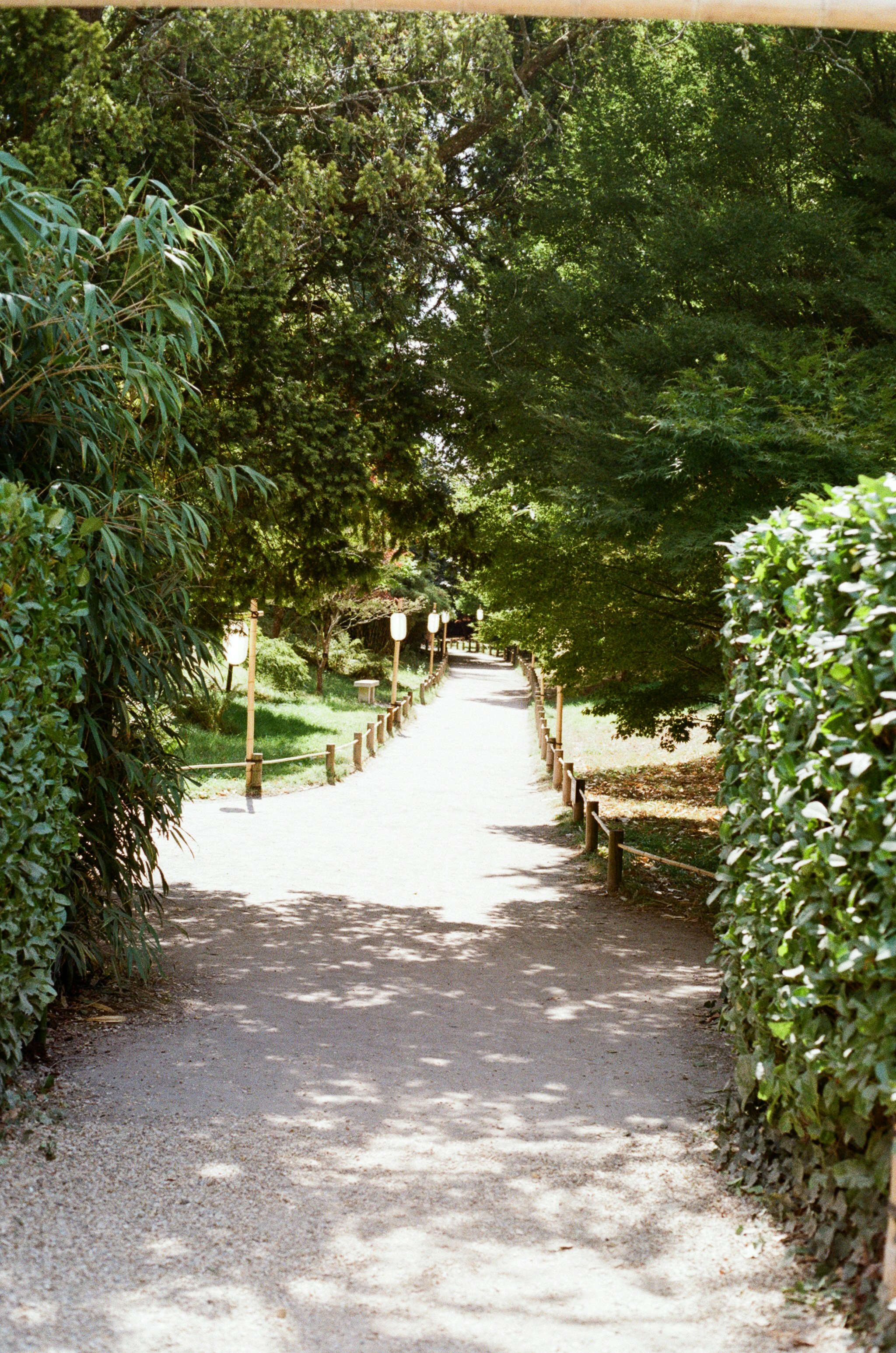 Photo by tanyabarrow