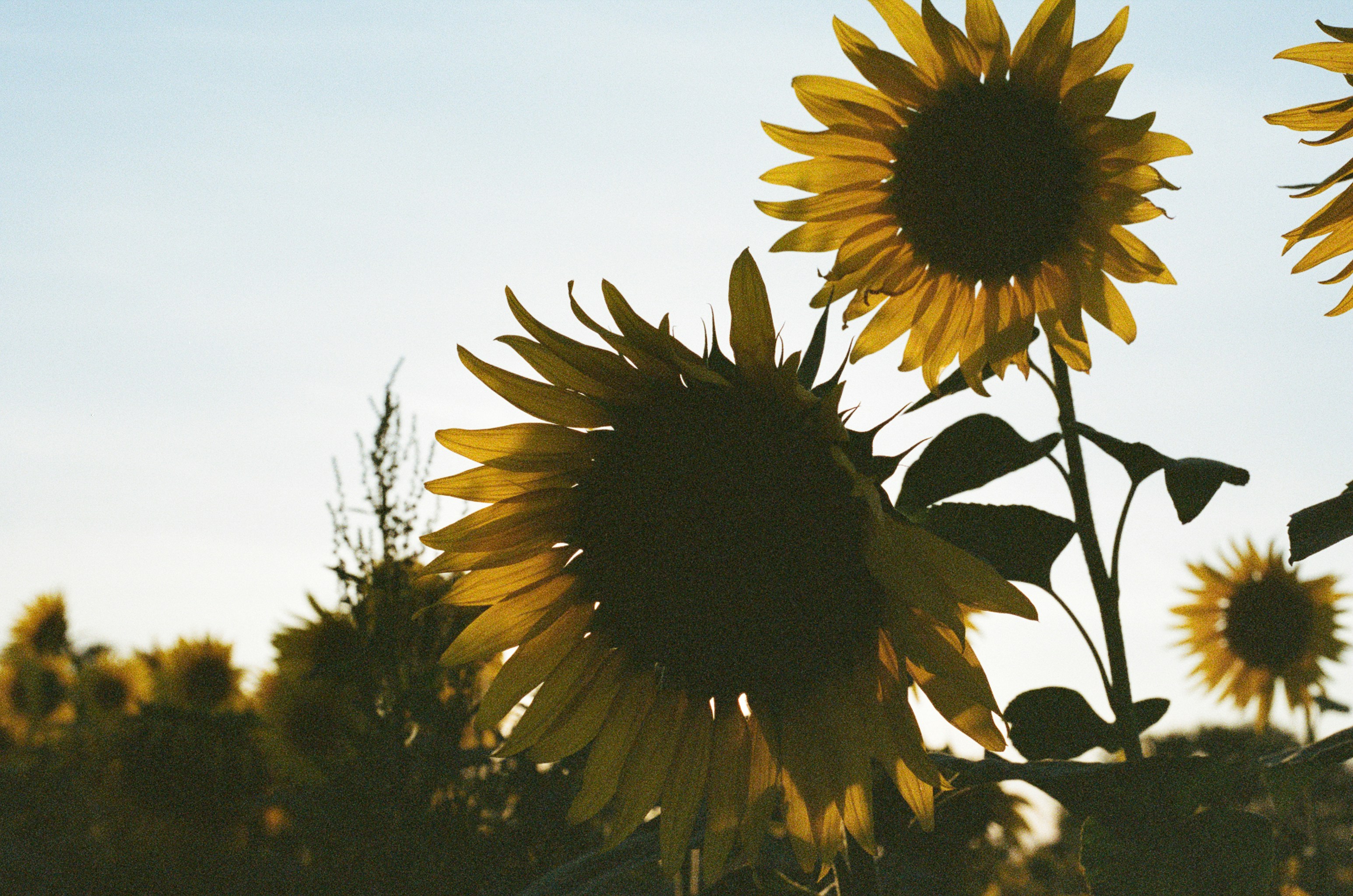 Photo by tanyabarrow