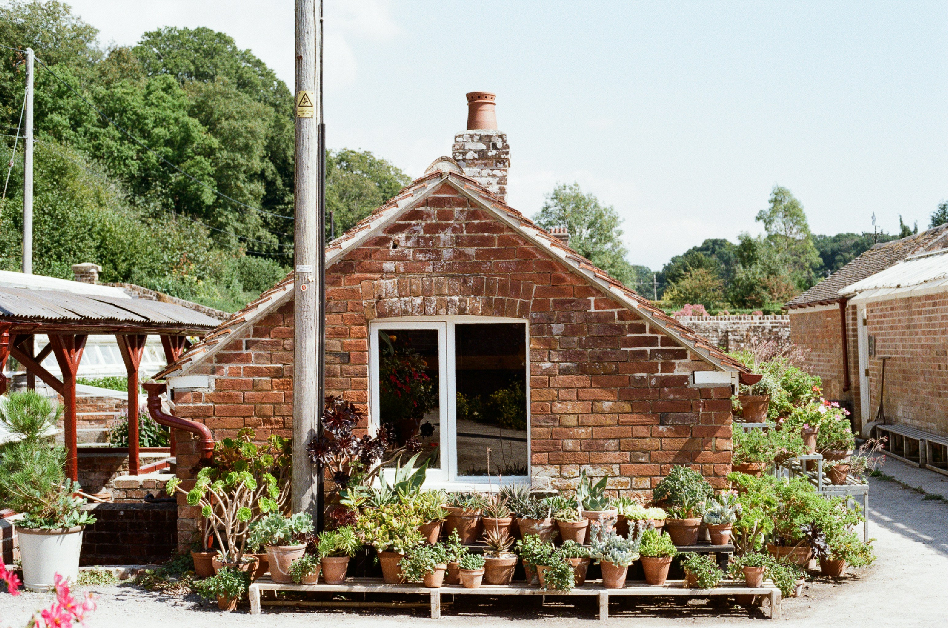 Photo by tanyabarrow