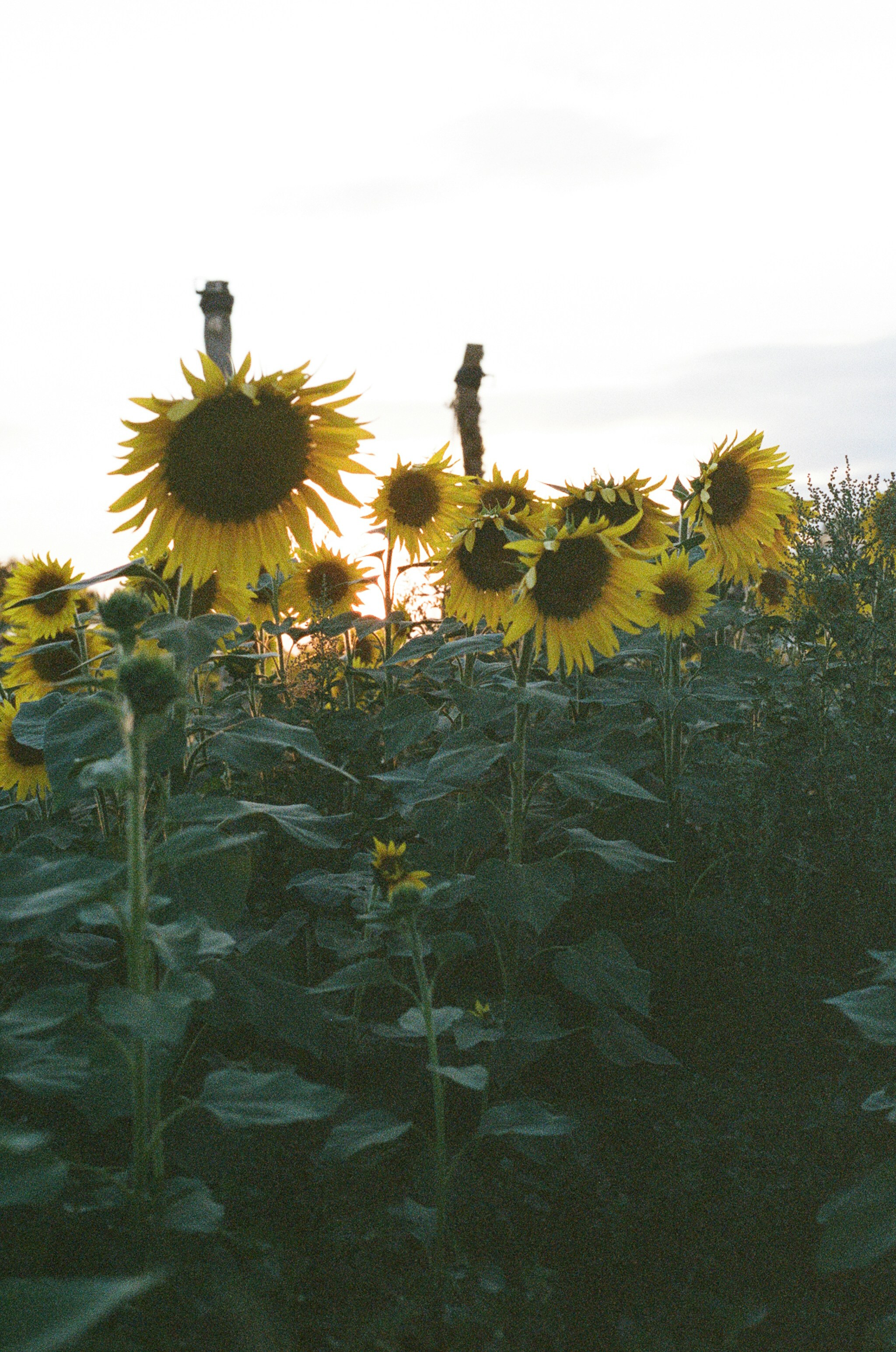 Photo by tanyabarrow