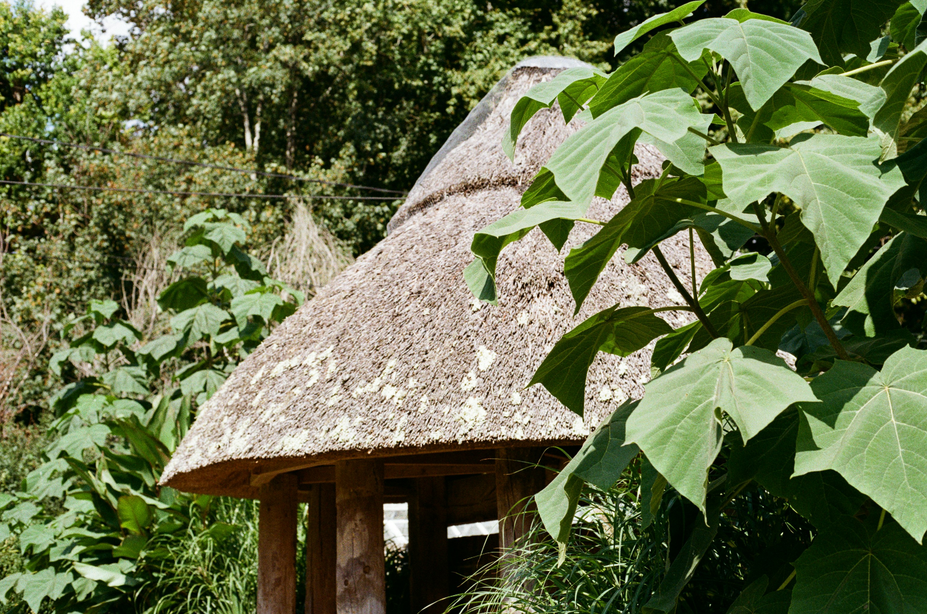 Photo by tanyabarrow