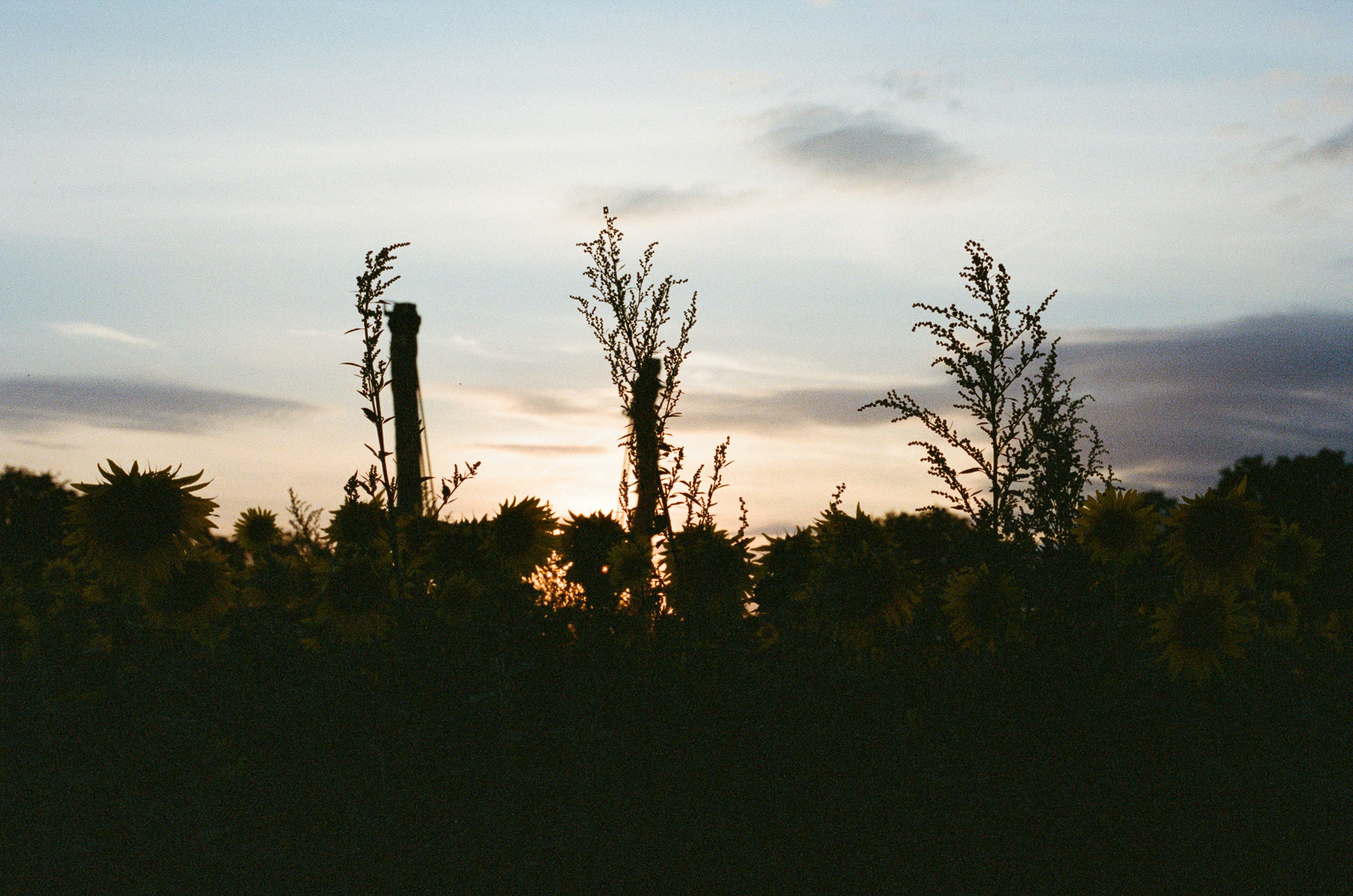 Photo by tanyabarrow