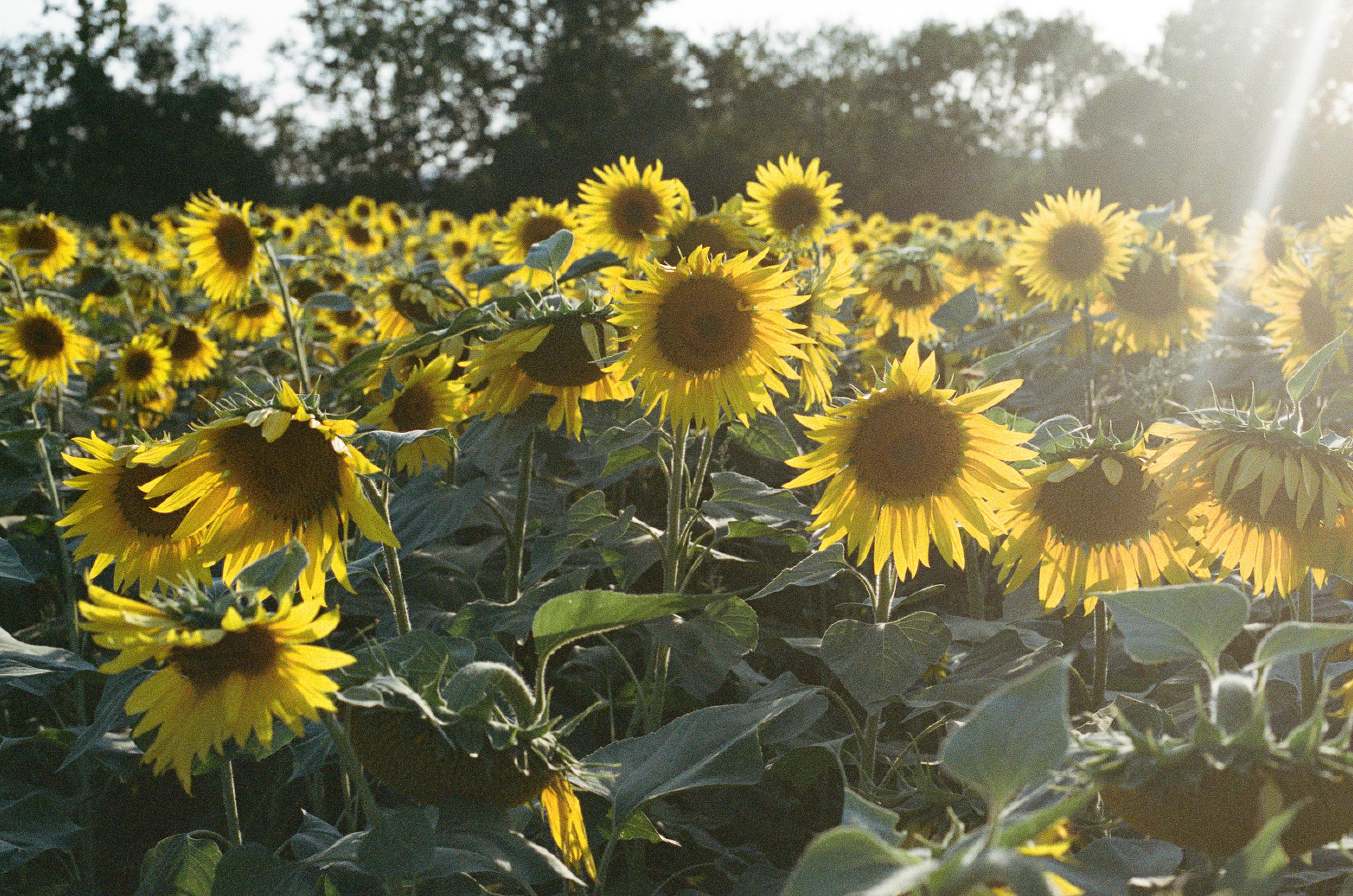 Photo by tanyabarrow