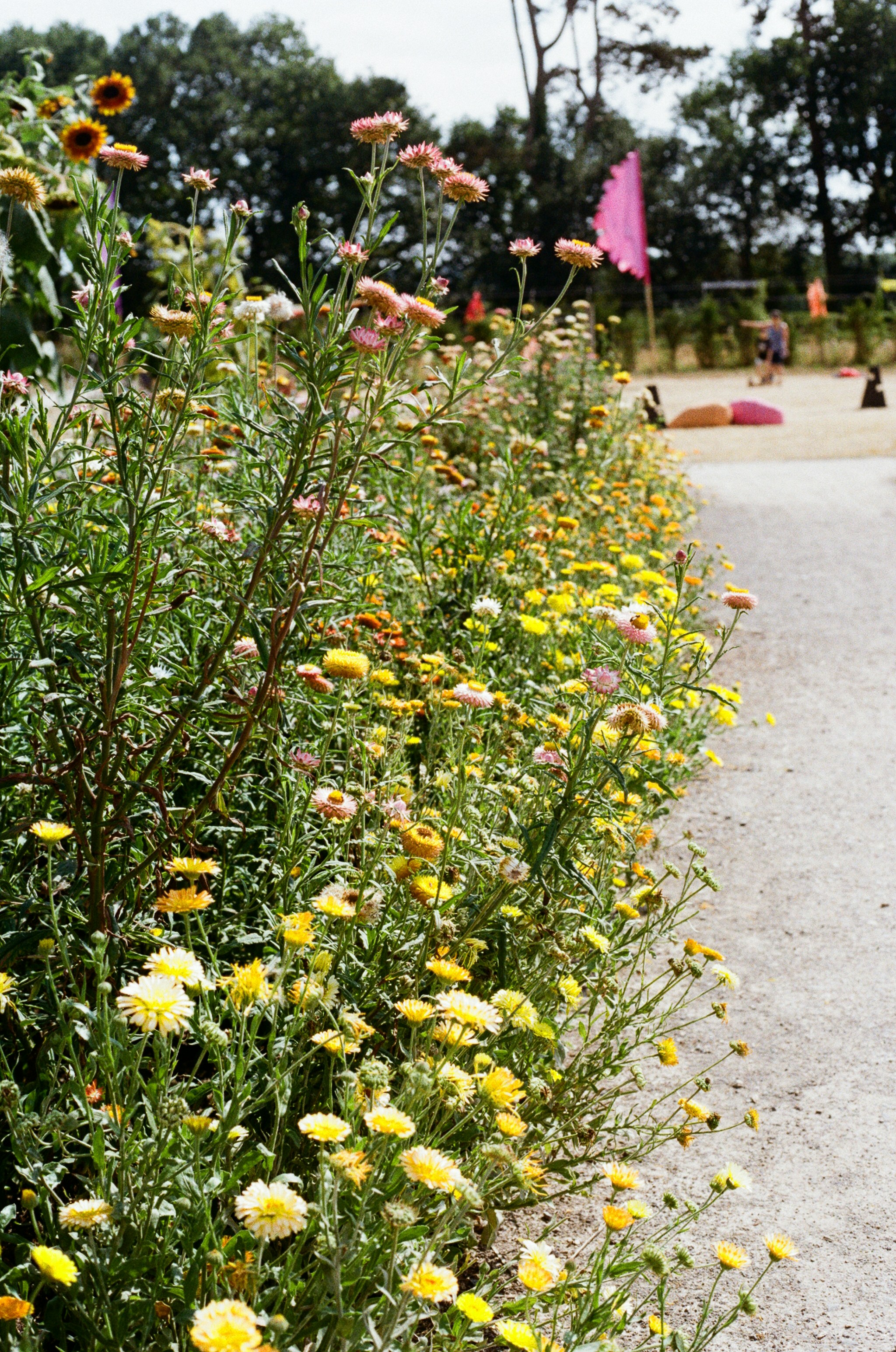 Photo by tanyabarrow