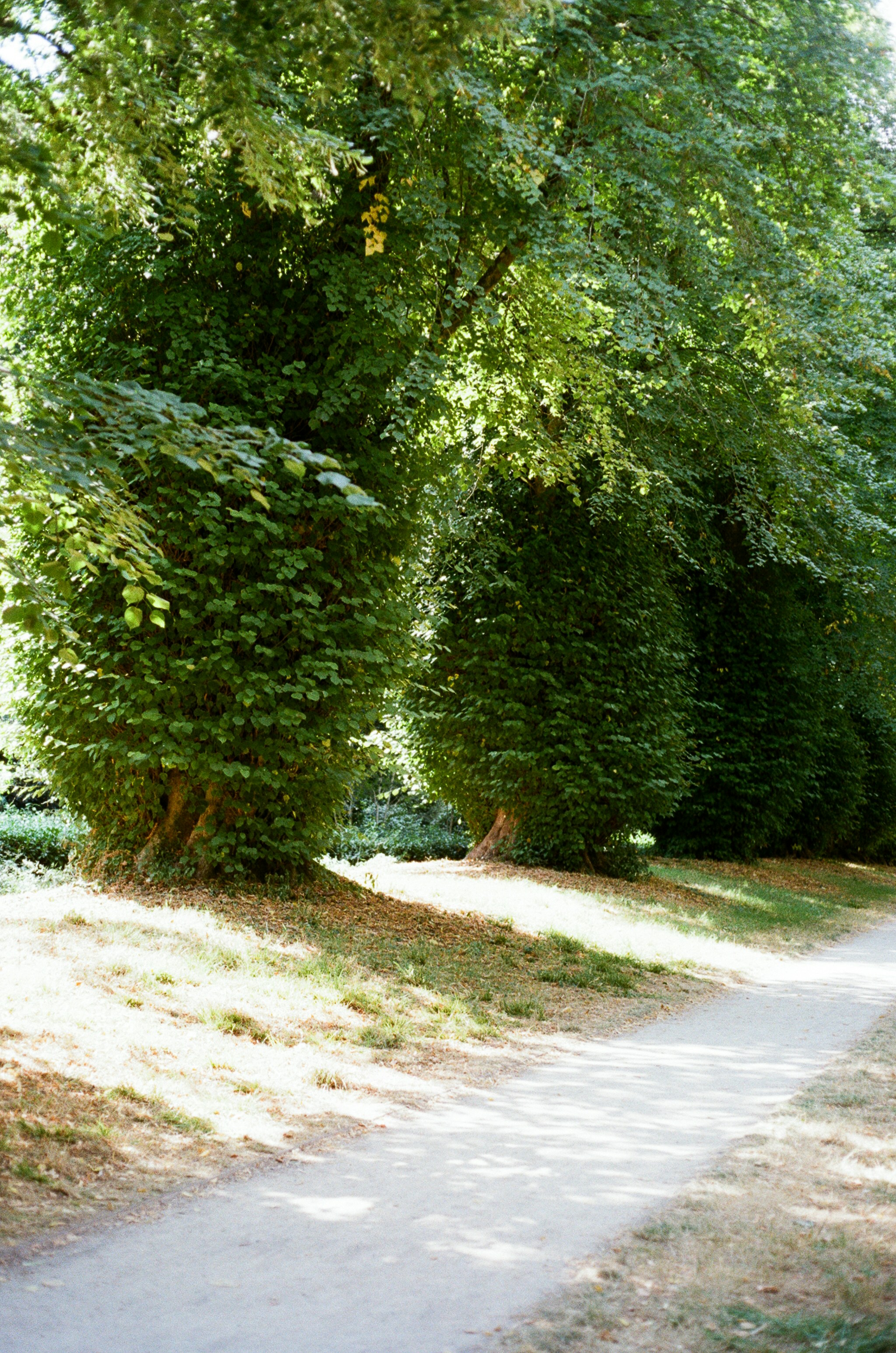 Photo by tanyabarrow