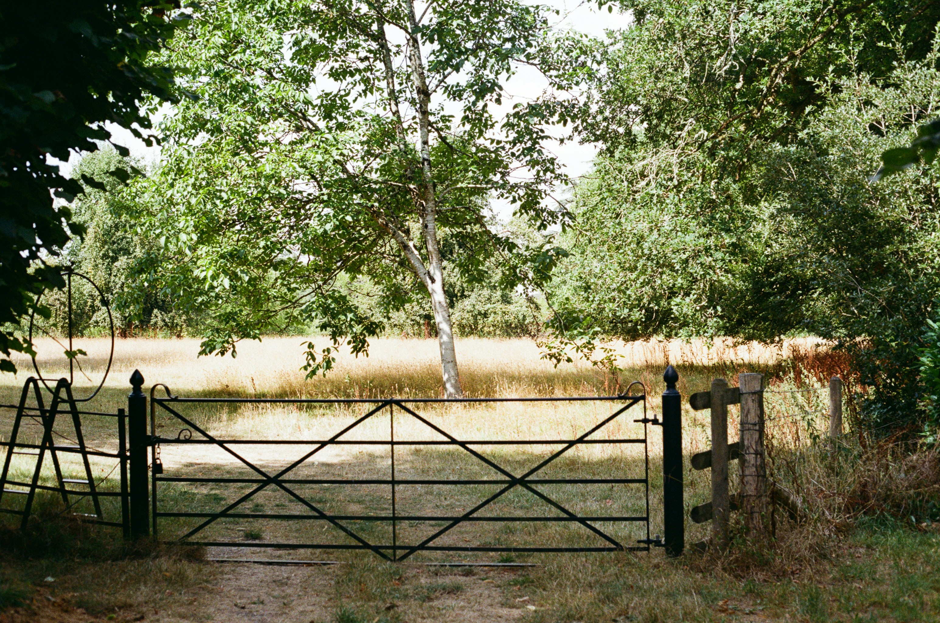 Black metal gate in a rural landscape