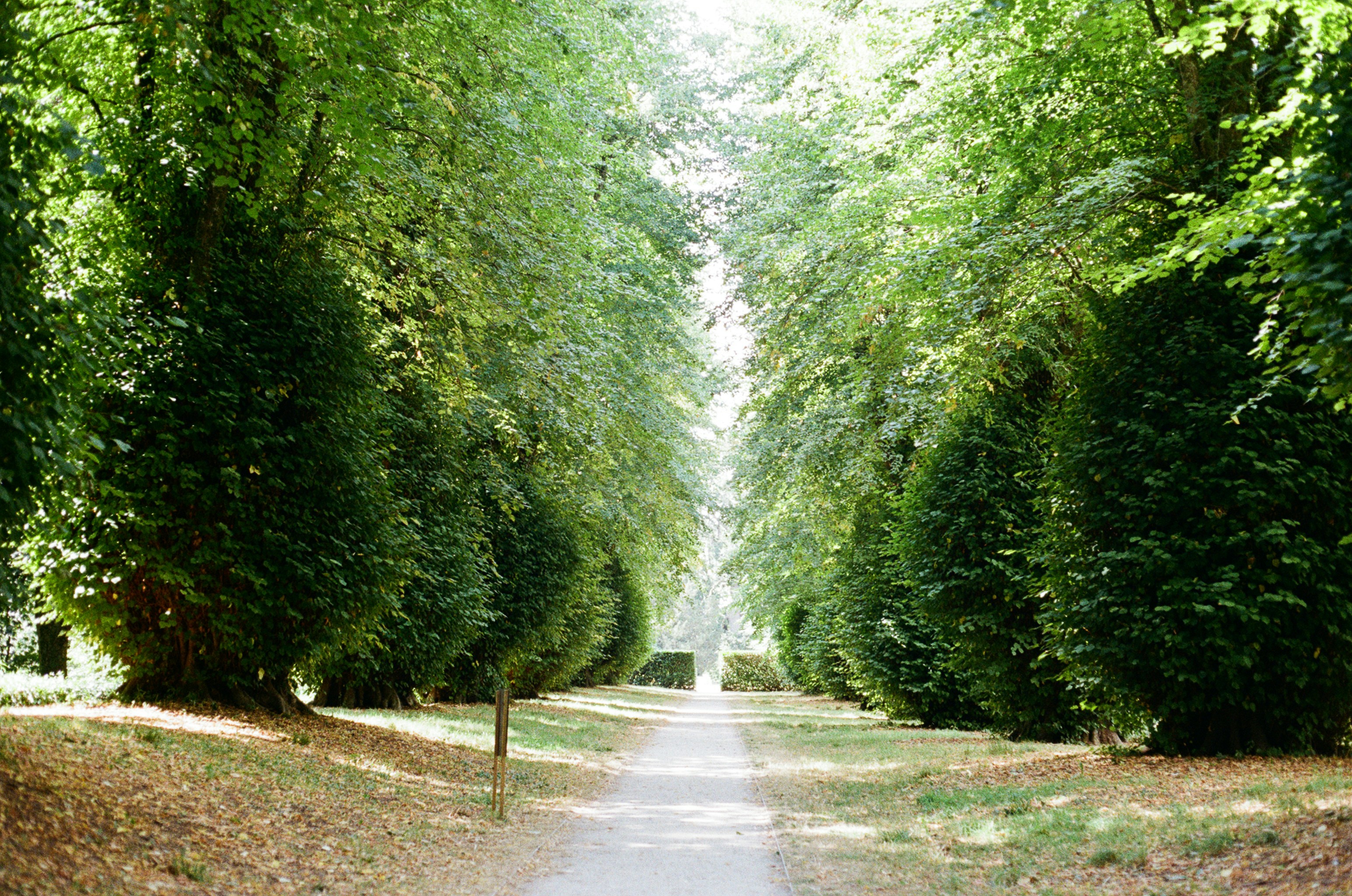 Photo by tanyabarrow