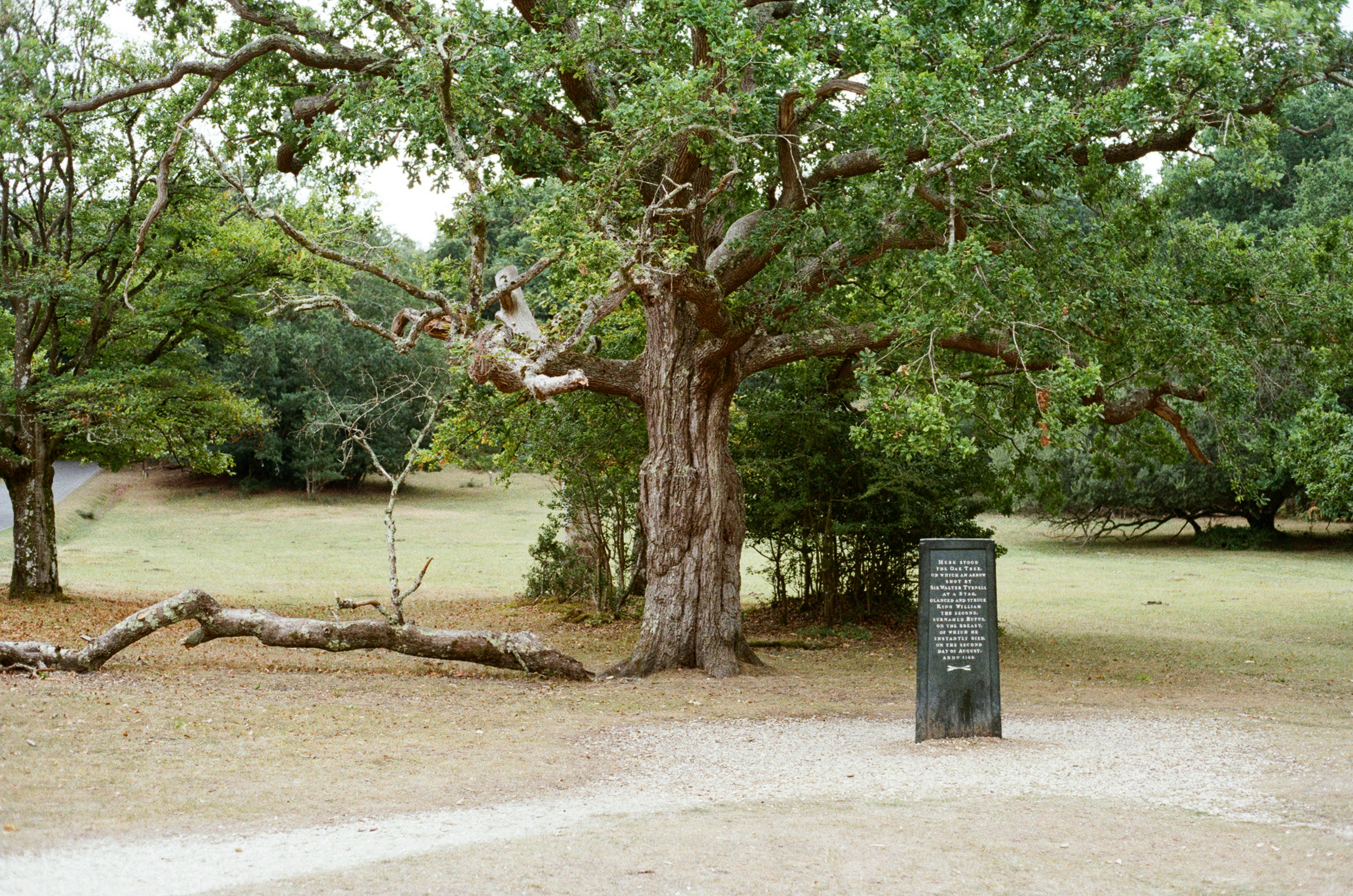 Anita B. Gorman Park