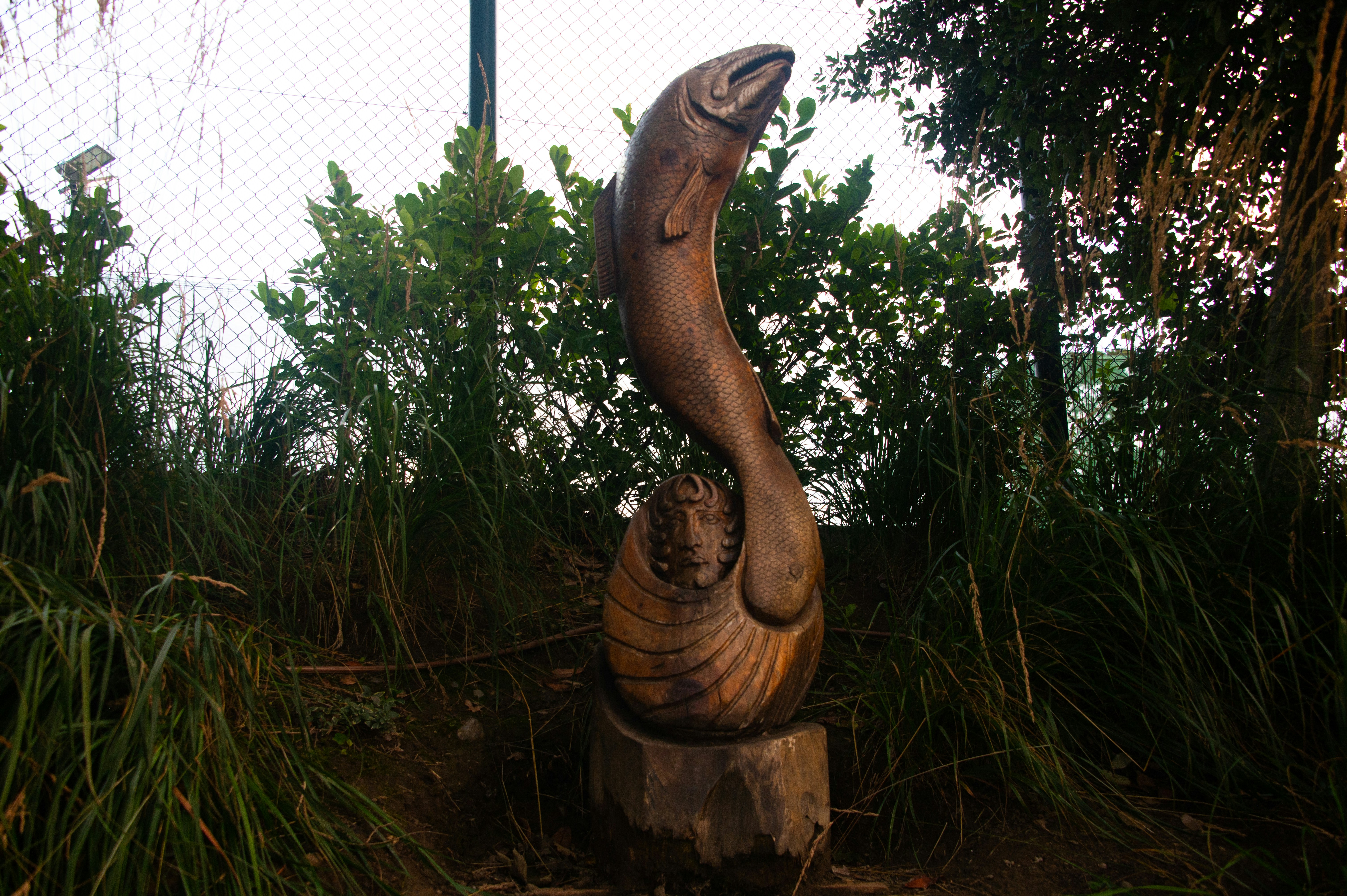 Wooden sculpture of a leaping fish in greenery